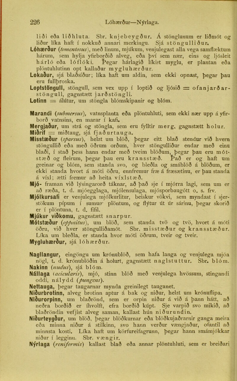 liði eða liðhluta. Shr. knjebeygður. Á stönglunum er liðmót og liður líka haft í nokkuð annari merkingu. Sjá stöngulliður. LÓhærður (tomentosus), með linum, mjúkum, venjulegast alla vega samflæktum hárum, sem hylja yfirborðið alveg, eða því sem nær, eins og ljósleit hárló eða lóflóki. í*egar hárlagið lfkist myglu, er plantan eða plöntuhlutinn opt kallaður mygluhærður. Lokaður, sjá blaðsíður; líka haft um aldin, sem ekki opnast, þegar þau eru fullþroska. Loptstönguli, stöngull, sem vex upp í loptið og ljósið = ofanjarðar- stöngull, gagnstætt j arðstöngli. Lotinn = álútur, um stöngla blómskipanir og blóm. Marandi (submersus), vatnsplanta eða plöntuhluti, sem ekki nær upp á yfir- borð vatnsins, en marar í kafi. Mergjaður, um strá og stöngla, sem eru fylltir merg, gagnstætt holur. Miðrif = miðtaug, sjá fjaðurtauga. Misstæður (sparsus), helzt um blöð, þegar eitt blað stendur við hvern stöngullið eða með öðrum orðum, hver stöngulliður endar með einu blaði, í stað þess hann endar með tveim blöðum, þegar þau eru mót- stæð og fleirum, þegar þau eru kransstæð. Pað er og haft um greinar og blóm, sem standa svo, og bleðla og smáblöð á blöðum, er ekki standa hvort á móti öðru, ennfremur fræ á fræsætinu, er þau standa á víxl; ætti fremur að heita víxlstæð. Mjó- framan við lýsingarorð táknar, að það sje í mjórra lagi, sem um er að ræða, t. d. mjóegglaga, mjólensulaga, mjósporbaugótt o. s. frv. Mjólkursafi er venjulega mjólkurlitur, beiskur vökvi, sem myndast í sjer- stökum pípum í sumurr plöntum, og flýtur út úr sárinu, þegar skorið er í plöntuna, t. d. fífil. Mjúk ur viðkomu, gagnstætt snarpur. Mótstæður (oppositus), um blöð, sem standa tvö og tvö, hvort á móti öðru, við hver stöngulliðamót. Sbr. misstæður og kransstæður. Líka um bleðla, er standa hvor móti öðrum, tveir og tveir. Mygluhærður, sjá lóhærður. Nagllangur, eingöngu um krónublöð, sem hafa langa og venjulega mjóa nögl, t. d. krónublöðin á holurt, gagnstætt naglstuttur. Sbr. blóm. Nakinn (nudus), sjá blóm. Nállaga (acicularis), mjó, stinn blöð með venjulega hvössum, stingandi oddi, nálydd (pungcns). Nettauga, þegar taugarnar mynda greinilegt tauganet. Niðurbrotinn, atveg brotinn aptur á bak og niður, hetzt um krónuflipa. Nlðurorpinn, um blaðrönd, sem er orpin niður á við á þann hátt, að neðra borðið er íhvolft, efra borðið kúpt. Sje varpið svo mikið, að blaðröndin vefjist alveg saman, kallast hún niðurundin. Niðurteygður, um blöð, þegar blöðkurnar eða blöðkujaðrarnir ganga meira eða minna niður á stilkinn, svo hann verður vængjaður, ofantil að minnsta kosti. Líka haft um körfureifagrunn, þegar hann smámjókkar niður í leggirm. Sbr. vængir. Nýrlaga (reniformis) kallast blað eða annar plöntuhluti, sem er breiðari