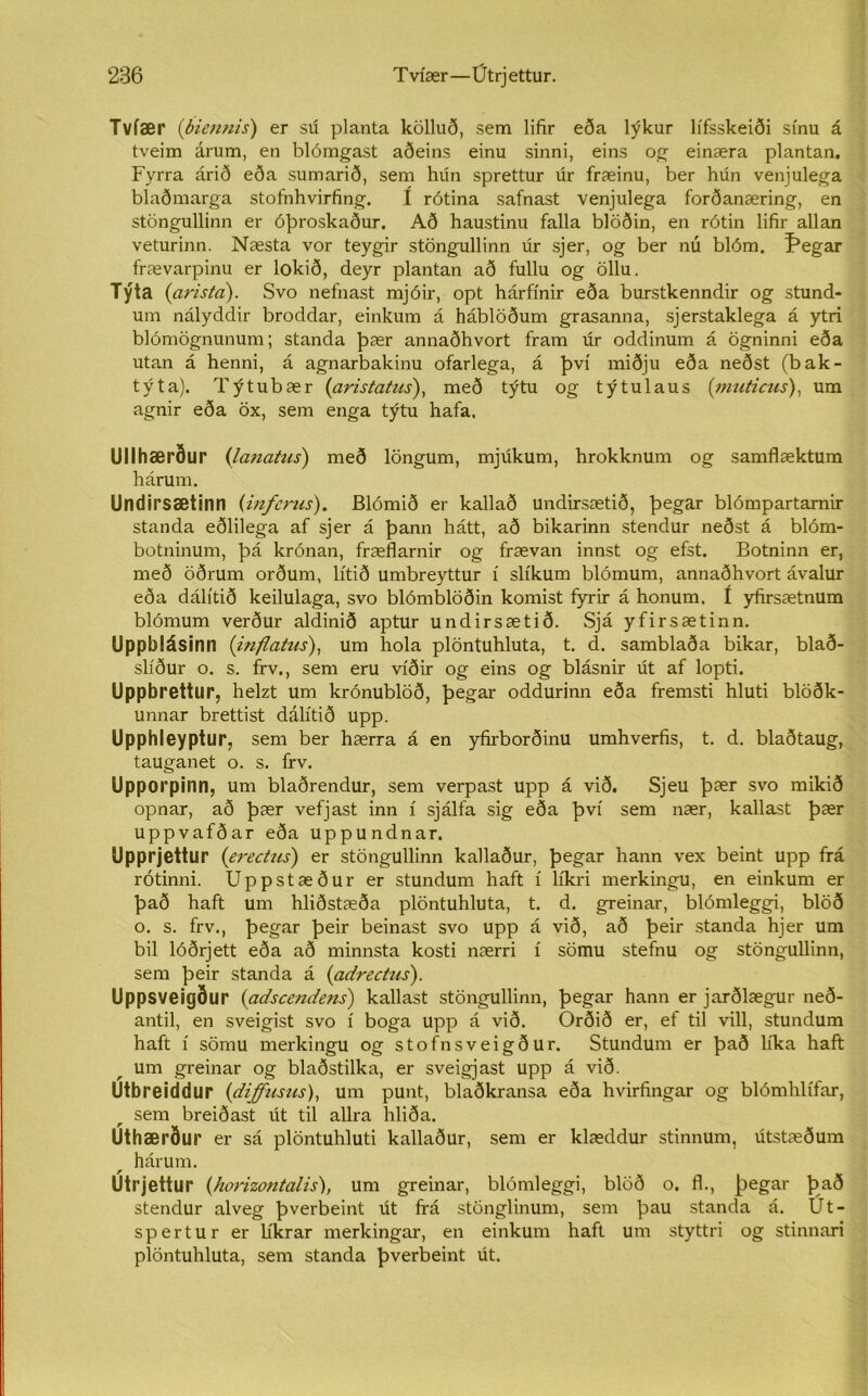 Tvíær {biennis) er sú planta kölluð, sem lifir eða lýkur lífsskeiði sínu á tveim árum, en blómgast aðeins einu sinni, eins og einæra plantan, Fyrra árið eða sumarið, sem hún sprettur úr fræinu, ber hún venjulega blaðmarga stofnhvirfing. í rótina safnast venjulega forðanæring, en stöngullinn er óþroskaður. Að haustinu falla blöðin, en rótin lifir allan veturinn. Næsta vor teygir stöngullinn úr sjer, og ber nú blóm. f*egar frævarpinu er lokið, deyr plantan að fullu og öllu. Týta (arista). Svo nefnast mjóir, opt hárfínir eða burstkenndir og stund- um nályddir broddar, einkum á háblöðum grasanna, sjerstaklega á ytri blómögnunum; standa þær annaðhvort fram úr oddinum á ögninni eða utan á henni, á agnarbakinu ofarlega, á því miðju eða neðst (bak- tvta). Týtubær (aristatus), með týtu og týtulaus (muticus), um agnir eða öx, sem enga týtu hafa, Ullhærður (lanatus) með löngum, mjúkum, hrokknum og samflæktum hárum. Undirsætinn (infcrus). Blómið er kallað undirsætið, þegar blómpartarnir standa eðlilega af sjer á þann hátt, að bikarinn stendur neðst á blóm- botninum, þá krónan, fræflarnir og frævan innst og efst. Botninn er, með öðrum orðum, lítið umbreyttur í slíkum blómum, annaðhvort ávalur eða dálítið keilulaga, svo blómblöðin komist íyrir á honum, í yfirsætnum blómum verður aldinið aptur undirsætið. Sjá yfirsætinn. Uppblásinn (inflatus), um hola plöntuhluta, t. d. samblaða bikar, blað- slíður o. s. frv., sem eru víðir og eins og blásnir út af lopti. Uppbrettur, helzt um krónublöð, þegar oddurinn eða fremsti hluti blöðk- unnar brettist dálítið upp. Upphleyptur, sem ber hærra á en yfirborðinu umhverfis, t. d. blaðtaug, tauganet o. s. frv. Upporpinn, um blaðrendur, sem verpast upp á við. Sjeu þær svo mikið opnar, að þær vefjast inn í sjálfa sig eða því sem nær, kallast þær uppvafðar eða uppundnar. Upprjettur (erectns) er stöngullinn kallaður, þegar hann vex beint upp frá rótinni. Uppstæður er stundum haft í líkri merkingu, en einkum er það haft um hliðstæða plöntuhluta, t. d. greinar, blómleggi, blöð o. s. frv., þegar þeir beinast svo upp á við, að þeir standa hjer um bil lóðrjett eða að minnsta kosti nærri í sömu stefnu og stöngullinn, sem þeir standa á {adrectus'). Uppsveigður {adscendens) kallast stöngullinn, þegar hann er jarðlægur neð- antil, en sveigist svo í boga upp á við. Orðið er, ef til vill, stundum haft í sömu merkingu og stofnsveigður. Stundum er það líka haft um greinar og blaðstilka, er sveigjast upp á við. Utbreiddur {diffusus), um punt, blaðkransa eða hvirfingar og blómhlífar, sem breiðast út til allra hliða. uthærður er sá plöntuhluti kallaður, sem er klæddur stinnum, útstæðum hárum. Utrjettur {honzontalis), um greinar, blómleggi, blöð o. fl., þegar það stendur alveg þverbeint út ffá stönglinum, sem þau standa á. Ut- spertur er líkrar merkingar, en einkum haft um styttri og stinnari plöntuhluta, sem standa þverbeint út.