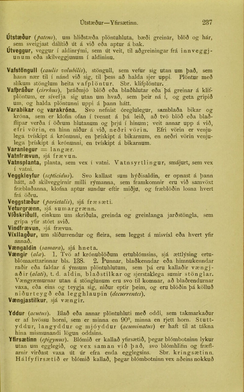Útstæður (patens), um hliðstæða plöntuhluta, bæði greinár, blöð og hár, sem sveigjast dálítið út á við eða aptur á bak. (Jtveggur, veggur í aldinrými, sem út veit, til aðgreiningar frá innveggj- unum eða skilveggjunum í aldininu. Vafstöngull {caulis volubilis), stöngull, sem vefur sig utan um það, sem hann nær til í nánd við sig, til þess að halda sjer uppi. Plöntur með slíkum stönglum heita vafplöntur. Sbr. klifplöntur. Vafþráður {cirrhus), þráðmjó blöð eða blaðhlutar eða þá greinar á klif- plöntum, er sívefja sig utan um hvað, sem þeir ná í, og geta gripið um, og halda plöntunni uppi á þann hátt. Varabikar og varakróna. Svo nefnist óreglulegur, samblaða bikar og króna, sem er klofin ofan í tvennt á þá leið, að tvö blöð eða blað- flipar verða í öðrum hlutanum og þrjú í hinum; veit annar upp á við, efri vörin, en hinn niður á við, neðri vörin. Efri vörin er venju- lega tvískipt á krónunni, en þrískipt á bikarnum, en neðri vörin venju- lega þrískipt á krónunni, en tvískipt á bikarnum. Varanlegur = langær. Vatnfrævun, sjá frævun. Vatnsplanta, planta, sem vex í vatni. Vatnsyrtlingur, smájurt, sem vex í vatni. Veggkleyfur {septicidus). Svo kallast sum hýðisaldin, er opnast á þann hátt, að skilveggirnir milli rýmanna, sem framkomnir eru við samvöxt fræblaðanna, klofna aptur sundur eftir miðju, og fræblöðin losna hvert frá öðru. Veggstæður (parietalis), sjá fræsæti. Veturgrænn, sjá sumargrænn. Víðskriðull, einkum um skriðula, greinda og greinlanga jarðstöngla, sem grípa yfir stórt svið. Vindfrævun, sjá ffævun. Víxllagður, um slíðurrendur og fleira, sem leggst á misvíxl eða hvert yfir annað. Vængaldin {samard), sjá hneta. Vængir {alœ). 1. Tvö af krónublöðum ertublómsins, sjá ættlýsing ertu- blómaættarinnar bls. 138. 2. Úunnar, blaðkenndar eða himnukenndar raðir eða faldar á ýmsum plöntuhlutum, sem þá eru kallaðir vængj- aðir {alati), t. d. aldin, blaðstilkar og sjerstaklega sumir stönglar. Vængræmurnar utan á stönglunum eru svo til komnar, að blaðrendurnar vaxa, eða eins og teygja sig, niður eptir þeim, og eru blöðin þá kölluð niðurteygð eða legghlaupin {decurrentes). Vængjastilkur, sjá vængir. Yddur {acutus). Blað eða annar plöntuhluti með oddi, sem takmarkaður er af hvössu horni, sem er minna en 90°, minna en rjett horn. Scutt- yddur, langyddur og mjóyddur {acuminatus) er haft til at tákna hina mismunandi lögun oddsins. Yfirsætinn {epigynus). Blómið er kallað yfirsætið, þegar blómbotninn lykur Utan um egglegið, og vex saman við það, svo blómhlifin og fræfl- arnir virðast vaxa út úr efra enda egglegsins. Sbr. kringsætinn. Hálfy firsætið er blómið kallað, þegar blómbotninn vex aðeins nokkuð