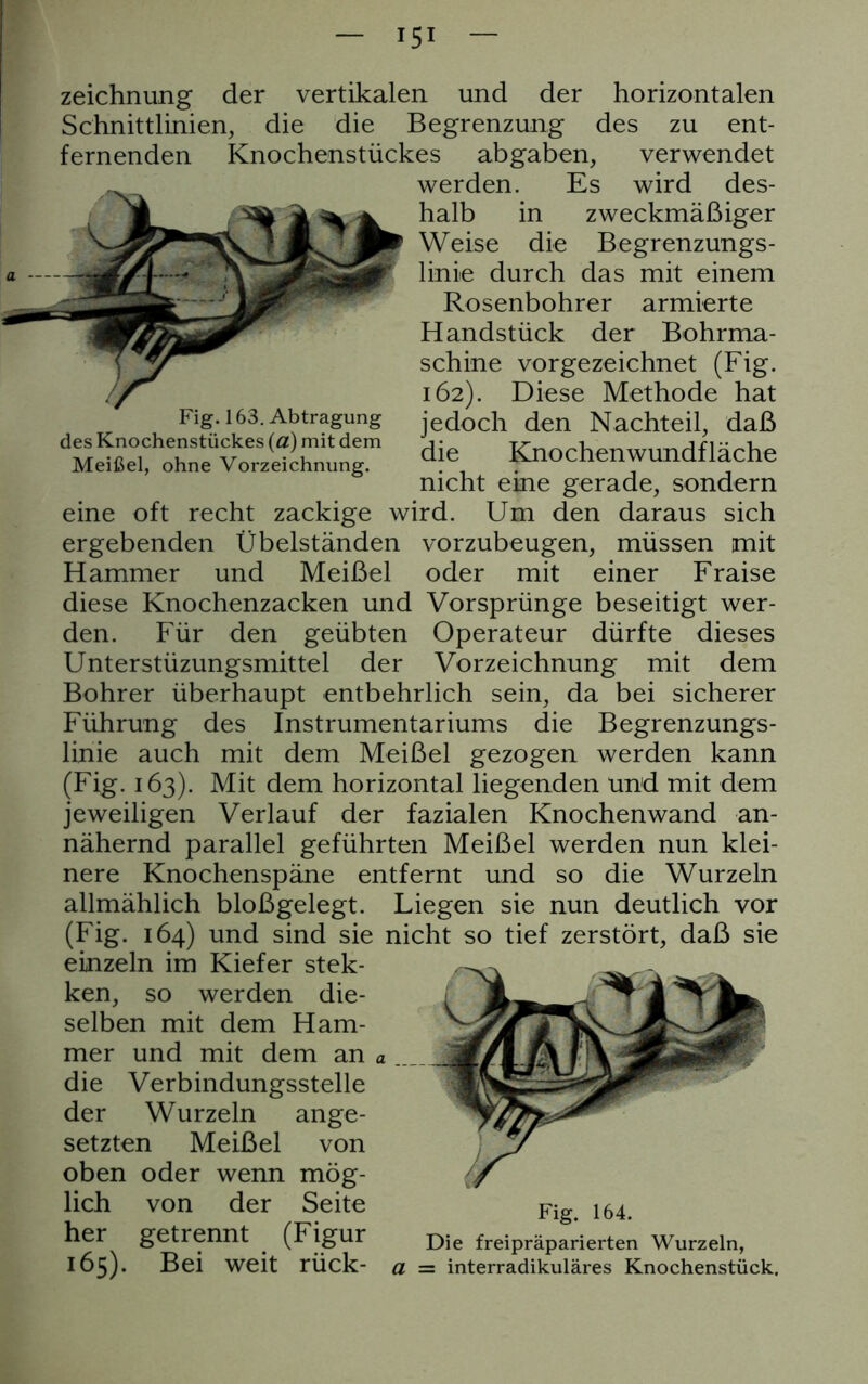 Fig. 163. Abtragung des Knochenstückes (a) mit dem Meißel, ohne Vorzeichnung. Zeichnung der vertikalen und der horizontalen Schnittlinien, die die Begrenzung des zu ent- fernenden Knochenstückes abgaben, verwendet werden. Es wird des- halb in zweckmäßiger Weise die Begrenzungs- linie durch das mit einem Rosenbohrer armierte Handstück der Bohrma- schine vorgezeichnet (Fig. 162). Diese Methode hat jedoch den Nachteil, daß die Kmochenwundfläche nicht eine gerade, sondern eine oft recht zackige wird. Um den daraus sich ergebenden Übelständen vorzubeugen, müssen mit Hammer und Meißel oder mit einer Fraise diese Knochenzacken und Vorsprünge beseitigt wer- den. Für den geübten Operateur dürfte dieses Unter stüzungsmittel der Vorzeichnung mit dem Bohrer überhaupt entbehrlich sein, da bei sicherer Führung des Instrumentariums die Begrenzungs- linie auch mit dem Meißel gezogen werden kann (Fig. 163). Mit dem horizontal liegenden und mit dem jeweiligen Verlauf der fazialen Knochen wand an- nähernd parallel geführten Meißel werden nun klei- nere Knochenspäne entfernt und so die Wurzeln allmählich bloßgelegt. Liegen sie nun deutlich vor (Fig. 164) und sind sie nicht so tief zerstört, daß sie einzeln im Kiefer stek- ken, so werden die- selben mit dem Ham- mer und mit dem an die Verbindungsstelle der Wurzeln ange- setzten Meißel von oben oder wenn mög- lich von der Seite her getrennt (Figur 165). Bei weit rück- Fig. 164. Die freipräparierten Wurzeln, a — interradikuläres Knochenstück.