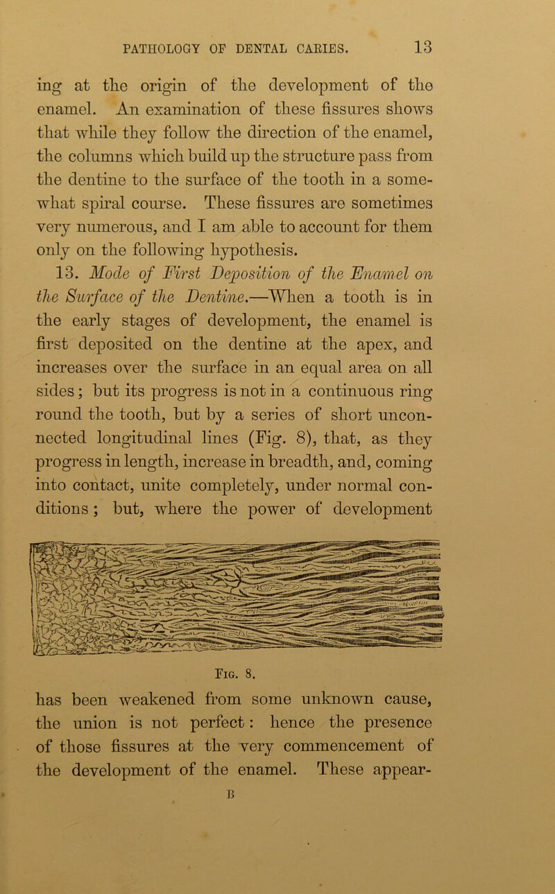 ing at the origin of the development of the enamel. An examination of these fissures shows that while they follow the direction of the enamel, the columns which build up the structure pass from the dentine to the surface of the tooth in a some- what spiral course. These fissures are sometimes very numerous, and I am able to account for them only on the following hypothesis. 13. Mode of First Deposition of the Enamel on the Surface of the Dentine.—When a tooth is in the early stages of development, the enamel is first deposited on the dentine at the apex, and increases over the surface in an equal area on all sides; but its progress is not in a continuous ring round the tooth, but by a series of short uncon- nected longitudinal lines (Fig. 8), that, as they progress in length, increase in breadth, and, coming into contact, unite completely, under normal con- ditions ; but, where the power of development Fig. 8. has been weakened from some unknown cause, the union is not perfect: hence the presence of those fissures at the very commencement of the development of the enamel. These appear- B