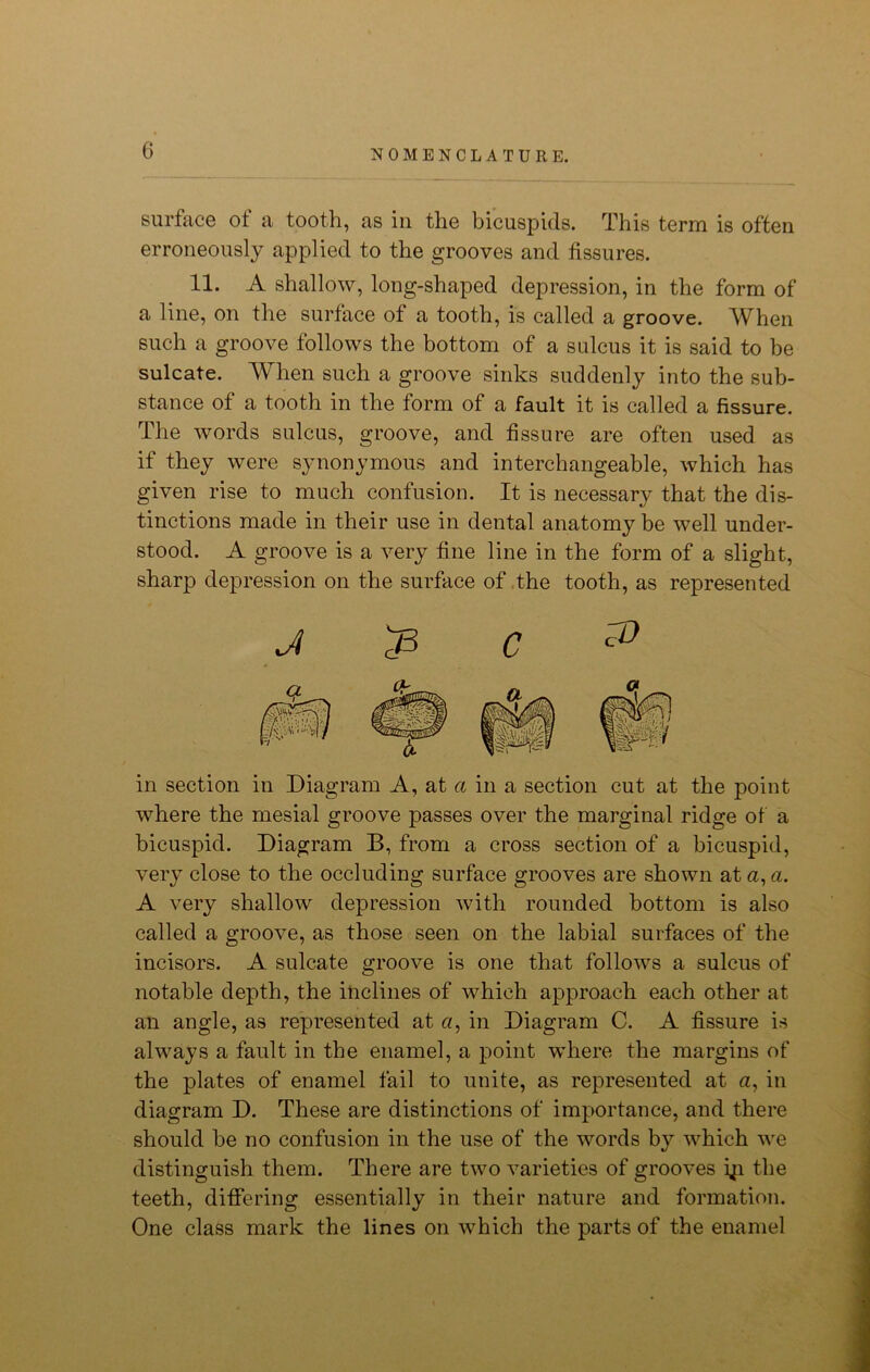 surface ot a tooth, as in the bicuspids. This term is often erroneously applied to the grooves and fissures. 11. A shallow, long-shaped depression, in the form of a line, on the surface of a tooth, is called a groove. When such a groove follows the bottom of a sulcus it is said to be sulcate. When such a groove sinks suddenly into the sub- stance of a tooth in the form of a fault it is called a fissure. The words sulcus, groove, and fissure are often used as if they were synonymous and interchangeable, which has given rise to much confusion. It is necessary that the dis- tinctions made in their use in dental anatomy be well under- stood. A groove is a very fine line in the form of a slight, sharp depression on the surface of the tooth, as represented J ^3 C in section in Diagram A, at a in a section cut at the point where the mesial groove passes over the marginal ridge of a bicuspid. Diagram B, from a cross section of a bicuspid, very close to the occluding surface grooves are shown at a, a. A very shallow depression with rounded bottom is also called a groove, as those seen on the labial surfaces of the incisors. A sulcate groove is one that follows a sulcus of notable depth, the inclines of which approach each other at an angle, as represented at a, in Diagram C. A fissure is always a fault in the enamel, a point where the margins of the plates of enamel fail to unite, as represented at u, in diagram D. These are distinctions of importance, and there should be no confusion in the use of the words by which we distinguish them. There are two varieties of grooves iji the teeth, differing essentially in their nature and formation. One class mark the lines on which the parts of the enamel