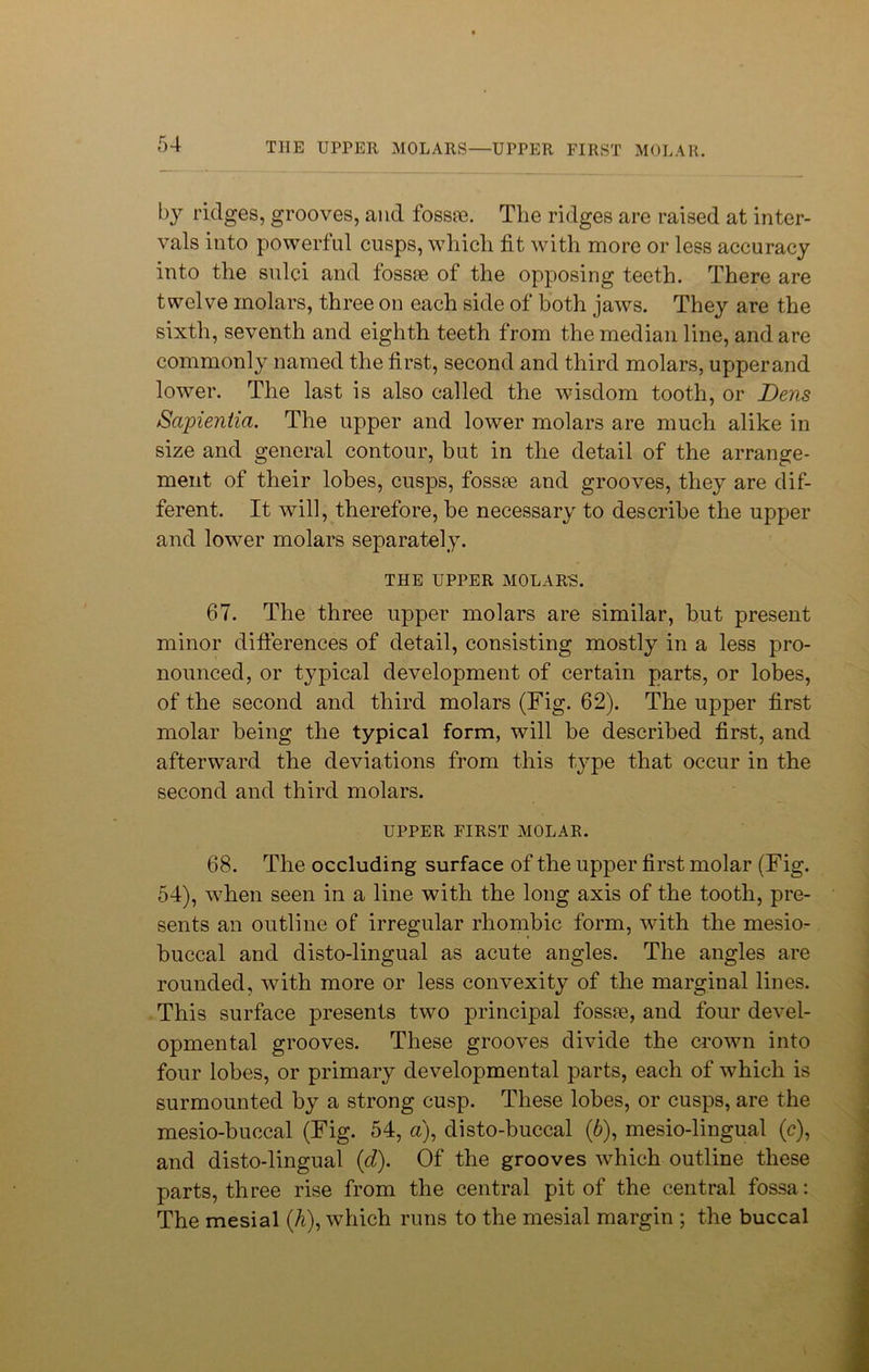 THE UPPER MOLARS—UPPER FIRST MOLAR. by ridges, grooves, and fossie. The ridges are raised at inter- vals into powerful cusps, which fit with more or less accuracy into the sulci and fossae of the opposing teeth. There are twelve molars, three on each side of both jaws. They are the sixth, seventh and eighth teeth from the median line, and are commonly named the first, second and third molars, upperand lower. The last is also called the wisdom tooth, or Dens Sapientia. The upper and lower molars are much alike in size and general contour, but in the detail of the arrange- ment of their lobes, cusps, fossae and grooves, they are dif- ferent. It will, therefore, be necessary to describe the upper and lower molars separately. THE UPPER MOLAR'S. 67. The three upper molars are similar, but present minor differences of detail, consisting mostly in a less pro- nounced, or typical development of certain parts, or lobes, of the second and third molars (Fig. 62). The upper first molar being the typical form, will be described first, and afterward the deviations from this type that occur in the second and third molars. UPPER FIRST MOLAR. 68. The occluding surface of the upper first molar (Fig. 54), when seen in a line with the long axis of the tooth, pre- sents an outline of irregular rhombic form, with the mesio- buccal and disto-lingual as acute angles. The angles are rounded, with more or less convexity of the marginal lines. This surface presents two principal foss8e, and four devel- opmental grooves. These grooves divide the crown into four lobes, or primary developmental parts, each of which is surmounted by a strong cusp. These lobes, or cusps, are the mesio-buccal (Fig. 54, a), disto-buccal (6), mesio-lingual (c), and disto-lingual (d). Of the grooves which outline these parts, three rise from the central pit of the central fossa: The mesial (h), which runs to the mesial margin ; the buccal