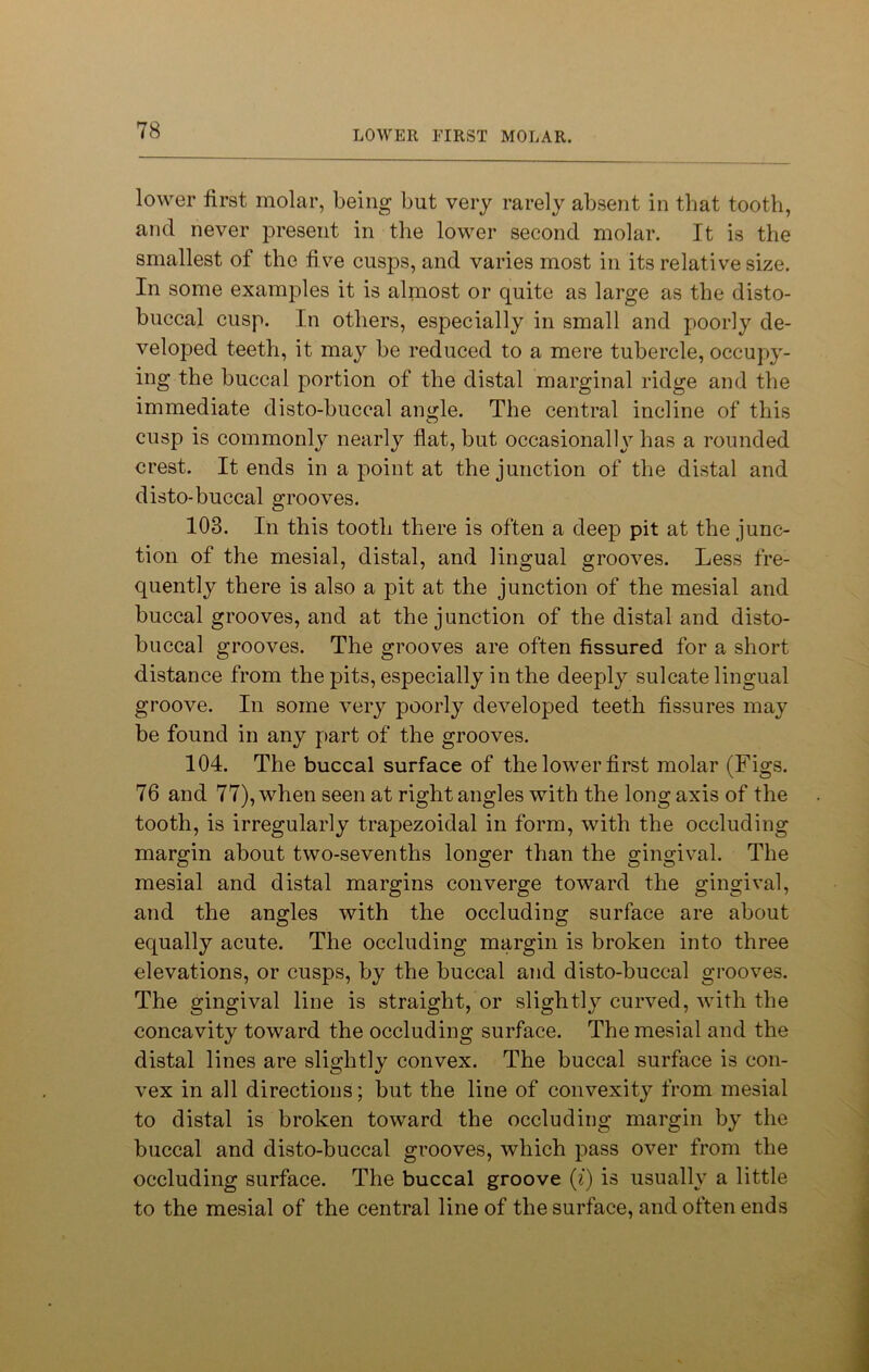 lower first molar, being but very rarely absent in that tooth, and never present in the lower second molar. It is the smallest of the five cusps, and varies most in its relative size. In some examples it is almost or quite as large as the disto- buccal cusp. In others, especially in small and poorly de- veloped teeth, it may be reduced to a mere tubercle, occupy- ing the buccal portion of the distal marginal ridge and the immediate disto-buccal angle. The central incline of this cusp is commonly nearly flat, but occasionally has a rounded crest. It ends in a point at the junction of the distal and disto-buccal grooves. 103. In this tooth there is often a deep pit at the junc- tion of the mesial, distal, and lingual grooves. Less fre- quently there is also a pit at the junction of the mesial and buccal grooves, and at the junction of the distal and disto- buccal grooves. The grooves are often fissured for a short distance from the pits, especially in the deeply sulcate lingual groove. In some very poorly developed teeth fissures may be found in any part of the grooves. 104. The buccal surface of the lower first molar (Figs. 76 and 77), when seen at right angles with the long axis of the tooth, is irregularly trapezoidal in form, with the occluding margin about two-sevenths longer than the gingival. The mesial and distal margins converge toward the gingival, and the angles with the occluding surface are about equally acute. The occluding margin is broken into three elevations, or cusps, by the buccal and disto-buccal grooves. The gingival line is straight, or slightly curved, with the concavity toward the occluding surface. The mesial and the distal lines are slightly convex. The buccal surface is con- vex in all directions; but the line of convexity from mesial to distal is broken toward the occluding margin by the buccal and disto-buccal grooves, which pass over from the occluding surface. The buccal groove (i) is usually a little to the mesial of the central line of the surface, and often ends