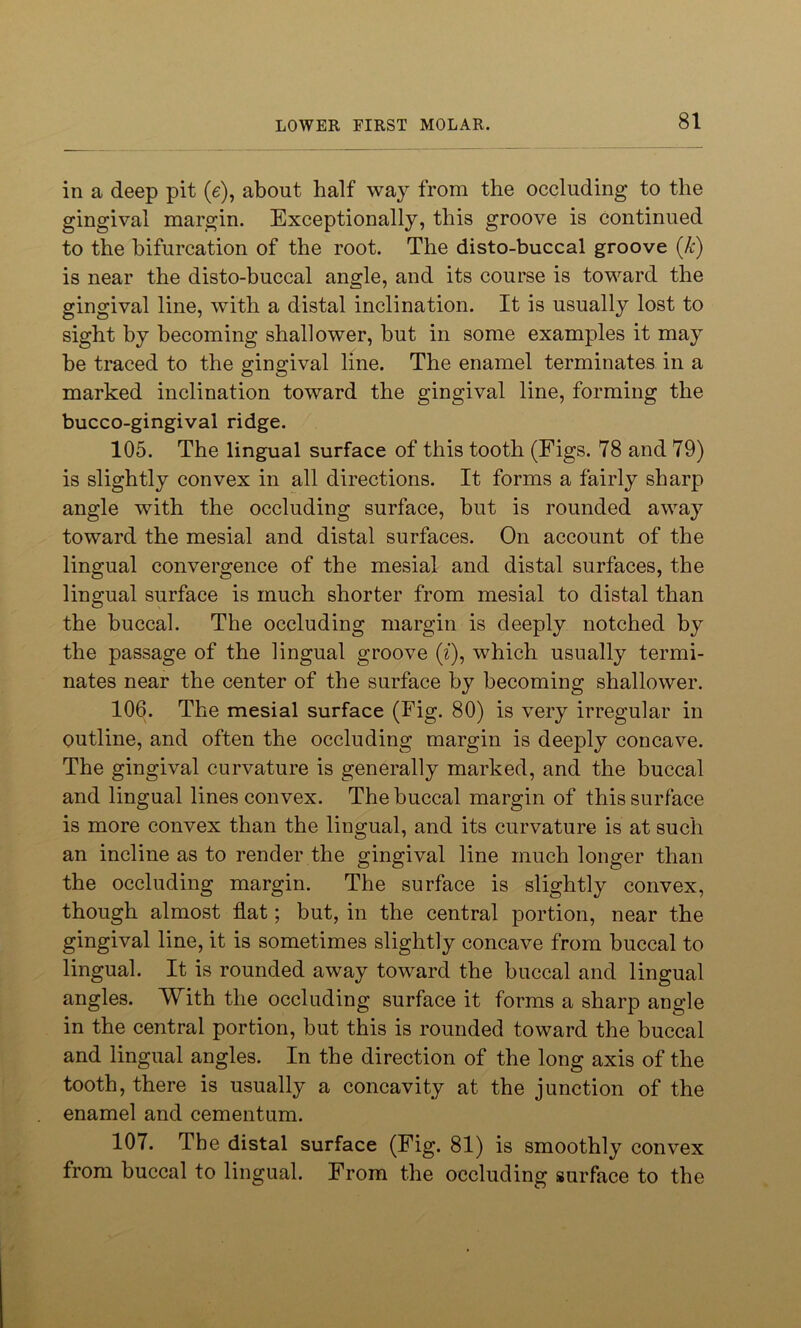 in a deep pit (e), about half way from the occluding to the gingival margin. Exceptionally, this groove is continued to the bifurcation of the root. The disto-buccal groove (k) is near the disto-buccal angle, and its course is toward the gingival line, with a distal inclination. It is usually lost to sight by becoming shallower, but in some examples it may be traced to the gingival line. The enamel terminates in a marked inclination toward the gingival line, forming the bucco-gingival ridge. 105. The lingual surface of this tooth (Figs. 78 and 79) is slightly convex in all directions. It forms a fairly sharp angle with the occluding surface, but is rounded away toward the mesial and distal surfaces. On account of the lingual convergence of the mesial and distal surfaces, the lingual surface is much shorter from mesial to distal than the buccal. The occluding margin is deeply notched by the passage of the lingual groove (f), which usually termi- nates near the center of the surface by becoming shallower. 106. The mesial surface (Fig. 80) is very irregular in outline, and often the occluding margin is deeply concave. The gingival curvature is generally marked, and the buccal and lingual lines convex. The buccal margin of this surface is more convex than the lingual, and its curvature is at such an incline as to render the gingival line much longer than the occluding margin. The surface is slightly convex, though almost flat; but, in the central portion, near the gingival line, it is sometimes slightly concave from buccal to lingual. It is rounded away toward the buccal and lingual angles. With the occluding surface it forms a sharp angle in the central portion, but this is rounded toward the buccal and lingual angles. In the direction of the long axis of the tooth, there is usually a concavity at the junction of the enamel and cementum. 107. The distal surface (Fig. 81) is smoothly convex from buccal to lingual. From the occluding surface to the