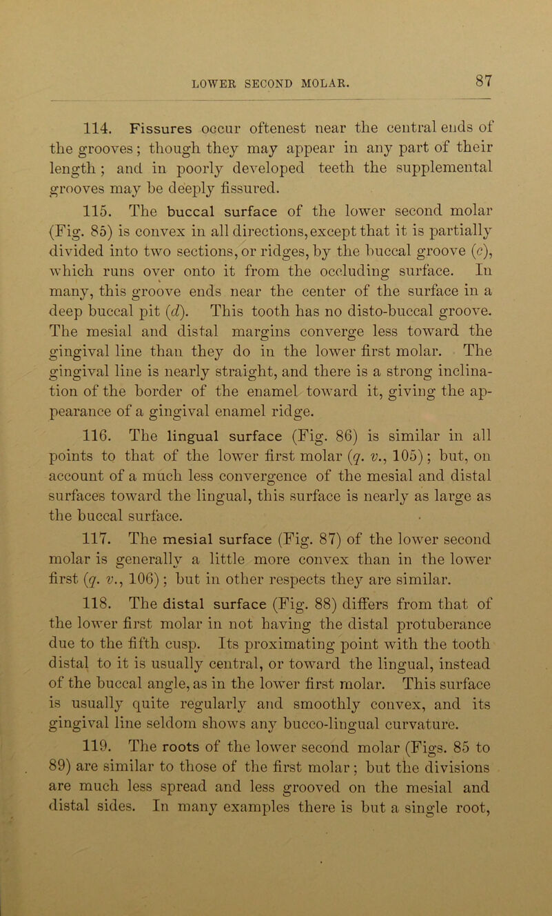 114. Fissures occur oftenest near the central ends of the grooves; though they may appear in any part of their length ; and in poorly developed teeth the supplemental grooves may he deeply fissured. 115. The buccal surface of the lower second molar (Fig. 85) is convex in all directions, except that it is partially divided into two sections, or ridges, by the buccal groove (c), which runs over onto it from the occluding surface. In many, this groove ends near the center of the surface in a deep buccal pit (d). This tooth has no disto-buccal groove. The mesial and distal margins converge less toward the gingival line than they do in the lower first molar. The gingival line is nearly straight, and there is a strong inclina- tion of the border of the enamel toward it, giving the ap- pearance of a gingival enamel ridge. 116. The lingual surface (Fig. 86) is similar in all points to that of the lower first molar (q. v., 105); but, on account of a much less convergence of the mesial and distal surfaces toward the lingual, this surface is nearly as large as the buccal surface. 117. The mesial surface (Fig. 87) of the lower second molar is generally a little more convex than in the lo wer first {q. v., 106); but in other respects they are similar. 118. The distal surface (Fig. 88) differs from that of the lower first molar in not having the distal protuberance due to the fifth cusp. Its proximating point with the tooth distal to it is usually central, or toward the lingual, instead of the buccal angle, as in the lower first molar. This surface is usually quite regularly and smoothly convex, and its gingival line seldom shows any bucco-lingual curvature. 119. The roots of the lower second molar (Figs. 85 to 89) are similar to those of the first molar; but the divisions are much less spread and less grooved on the mesial and distal sides. In many examples there is but a single root,