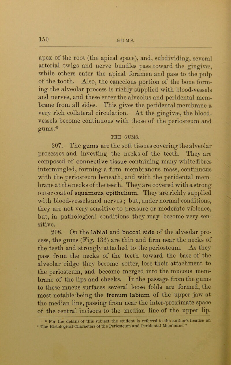 apex of the root (the apical space), and, subdividing, several arterial twigs and nerve bundles pass toward the gingivae, while others enter the apical foramen and pass to the pulp of the tooth. Also, the caneelous portion of the bone form- ing the alveolar process is richly supplied with blood-vessels and nerves, and these enter the alveolus and peridental mem- brane from all sides. This gives the peridental membrane a very rich collateral circulation. At the gingivae, the blood- vessels become continuous with those of the periosteum and gums.* THE GUMS. 207. The gums are the soft tissues covering the alveolar processes and investing the necks of the teeth. They are composed of connective tissue containing many white fibres intermingled, forming a firm membranous mass, continuous with the periosteum beneath, and with the peridental mem- brane at the necks of the teeth. They are covered with a strong outer coat of squamous epithelium. They are richly supplied with blood-vessels and nerves ; but, under normal conditions, they are not very sensitive to pressure or moderate violence, but, in pathological conditions they may become very sen- sitive. 208. On the labial and buccal side of the alveolar pro- cess, the gums (Fig. 136) are thin and firm near the necks of the teeth and strongly attached to the periosteum. As they pass from the necks of the teeth toward the base of the alveolar ridge they become softer, lose their attachment to the periosteum, and become merged into the mucous mem- brane of the lips and cheeks. In the passage from the gums to these mucus surfaces several loose folds are formed, the most notable being the frenum labium of the upper jaw at the median line, passing from near the inter-proximate space of the central incisors to the median line of the upper lip. * For the details of this subject the student is referred to the author’s treatise on « The Histological Characters of the Periosteum and Peridental Membrane.”
