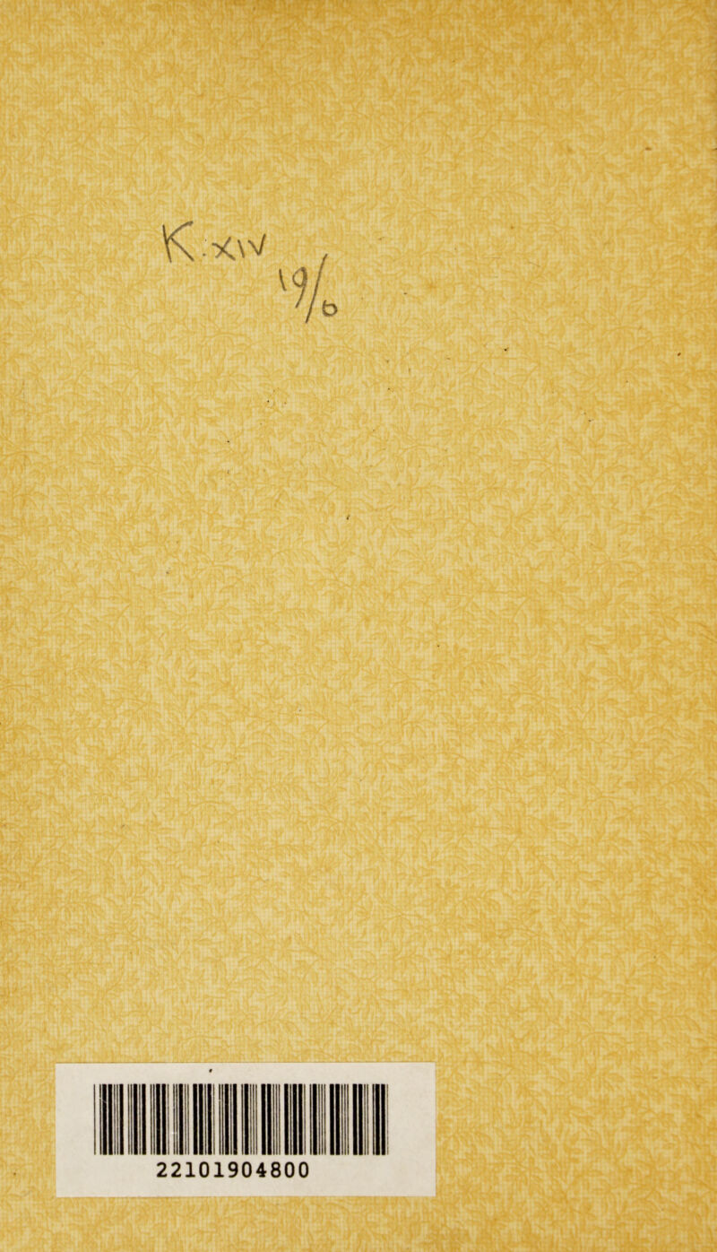 22101904800