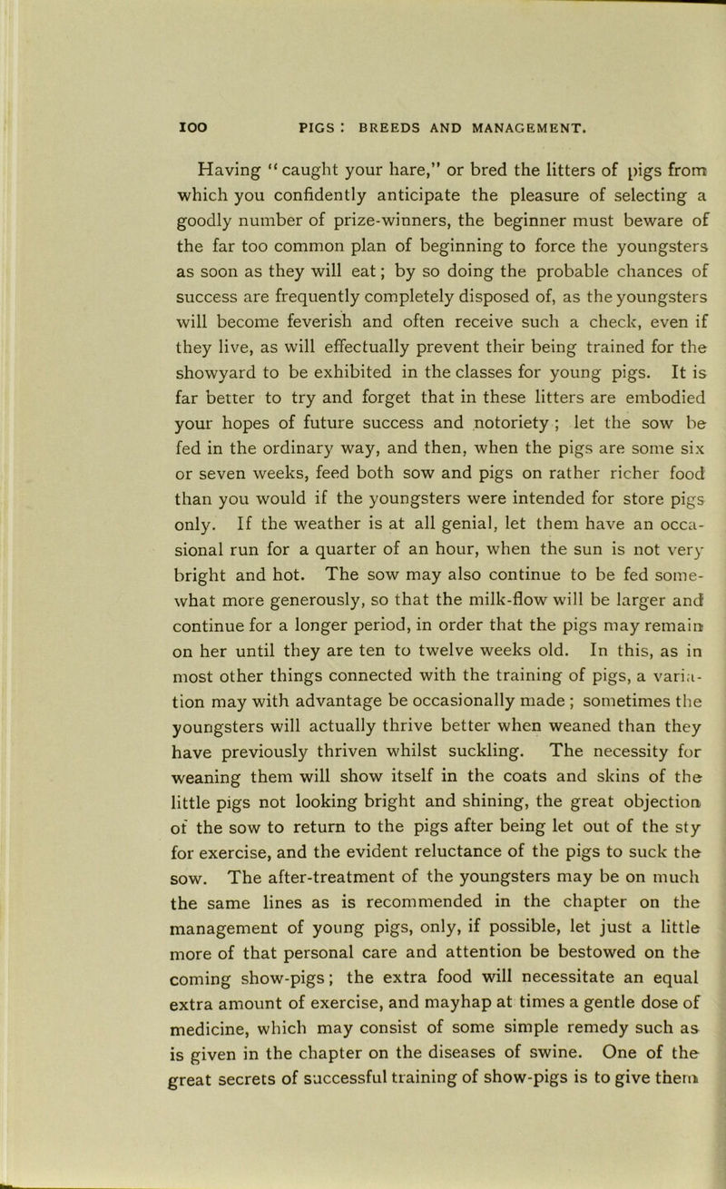 Having “ caught your hare,” or bred the litters of pigs from which you confidently anticipate the pleasure of selecting a goodly number of prize-winners, the beginner must beware of the far too common plan of beginning to force the youngsters as soon as they will eat; by so doing the probable chances of success are frequently completely disposed of, as the youngsters will become feverish and often receive such a check, even if they live, as will effectually prevent their being trained for the showyard to be exhibited in the classes for young pigs. It is far better to try and forget that in these litters are embodied your hopes of future success and notoriety ; let the sow be fed in the ordinary way, and then, when the pigs are some six or seven weeks, feed both sow and pigs on rather richer food than you would if the youngsters were intended for store pigs only. If the weather is at all genial, let them have an occa- sional run for a quarter of an hour, when the sun is not very bright and hot. The sow may also continue to be fed some- what more generously, so that the milk-flow will be larger and continue for a longer period, in order that the pigs may remain on her until they are ten to twelve weeks old. In this, as in most other things connected with the training of pigs, a varia- tion may with advantage be occasionally made ; sometimes the youngsters will actually thrive better when weaned than they have previously thriven whilst suckling. The necessity for weaning them will show itself in the coats and skins of the little pigs not looking bright and shining, the great objection of the sow to return to the pigs after being let out of the sty for exercise, and the evident reluctance of the pigs to suck the sow. The after-treatment of the youngsters may be on much the same lines as is recommended in the chapter on the management of young pigs, only, if possible, let just a little more of that personal care and attention be bestowed on the coming show-pigs; the extra food will necessitate an equal extra amount of exercise, and mayhap at times a gentle dose of medicine, which may consist of some simple remedy such as is given in the chapter on the diseases of swine. One of the great secrets of successful training of show-pigs is to give them