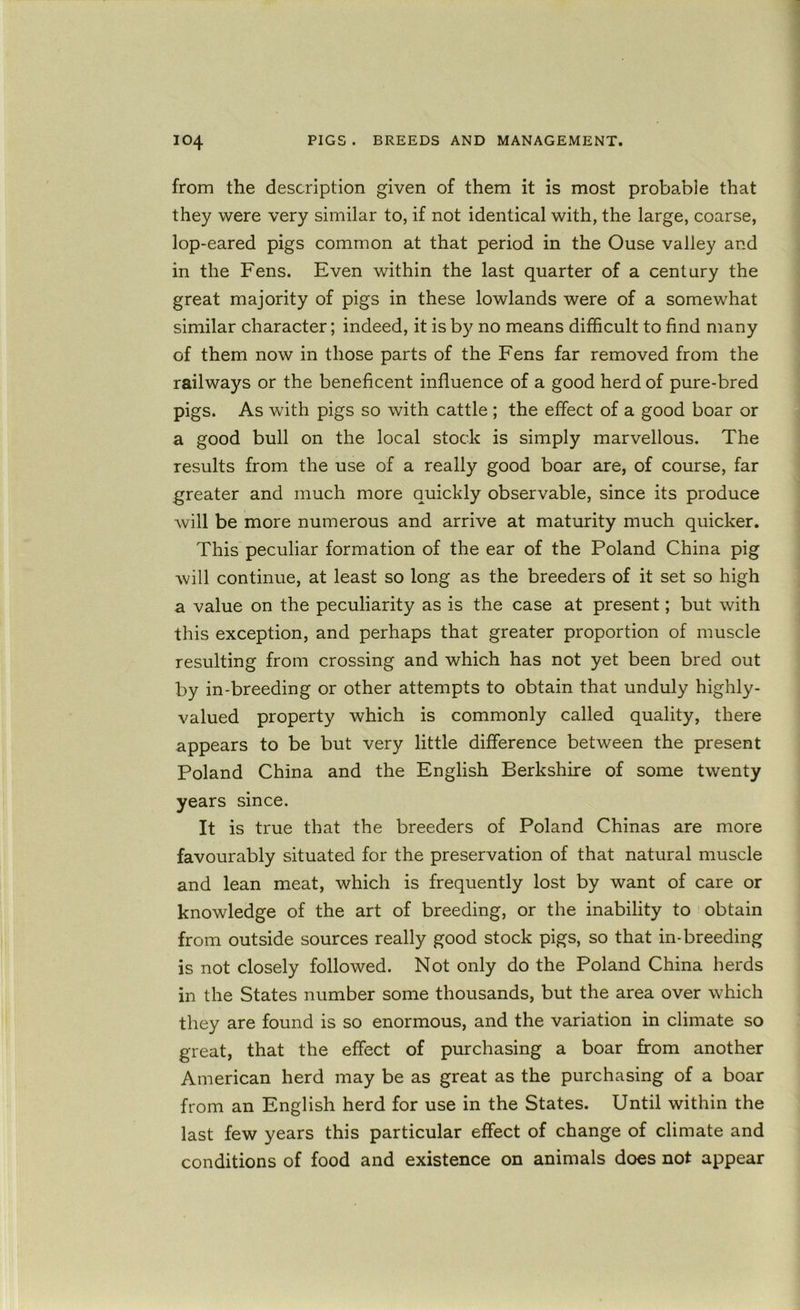 from the description given of them it is most proba.ble that they were very similar to, if not identical with, the large, coarse, lop-eared pigs common at that period in the Ouse valley and in the Fens. Even within the last quarter of a century the great majority of pigs in these lowlands were of a somewhat similar character; indeed, it is by no means difficult to find many of them now in those parts of the Fens far removed from the railways or the beneficent influence of a good herd of pure-bred pigs. As with pigs so with cattle ; the effect of a good boar or a good bull on the local stock is simply marvellous. The results from the use of a really good boar are, of course, far greater and much more quickly observable, since its produce will be more numerous and arrive at maturity much quicker. This peculiar formation of the ear of the Poland China pig will continue, at least so long as the breeders of it set so high a value on the peculiarity as is the case at present; but with this exception, and perhaps that greater proportion of muscle resulting from crossing and which has not yet been bred out by in-breeding or other attempts to obtain that unduly highly- valued property which is commonly called quality, there appears to be but very little difference between the present Poland China and the English Berkshire of some twenty years since. It is true that the breeders of Poland Chinas are more favourably situated for the preservation of that natural muscle and lean meat, which is frequently lost by want of care or knowledge of the art of breeding, or the inability to obtain from outside sources really good stock pigs, so that in-breeding is not closely followed. Not only do the Poland China herds in the States number some thousands, but the area over which they are found is so enormous, and the variation in climate so great, that the effect of purchasing a boar from another American herd may be as great as the purchasing of a boar from an English herd for use in the States. Until within the last few years this particular effect of change of climate and conditions of food and existence on animals does not appear