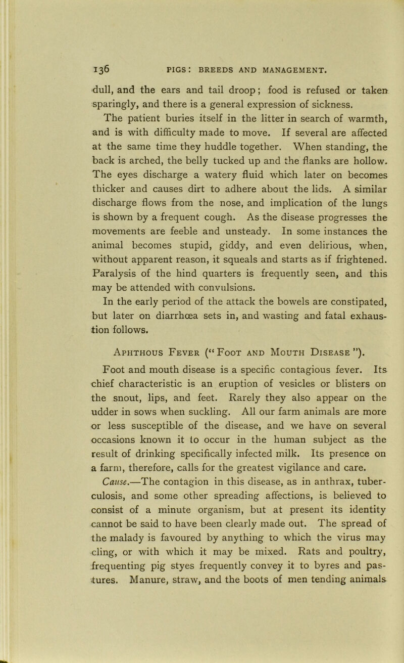 dull, and the ears and tail droop; food is refused or taken sparingly, and there is a general expression of sickness. The patient buries itself in the litter in search of warmth, and is with difficulty made to move. If several are affected at the same time they huddle together. When standing, the back is arched, the belly tucked up and the flanks are hollow. The eyes discharge a watery fluid which later on becomes thicker and causes dirt to adhere about the lids. A similar discharge flows from the nose, and implication of the lungs is shown by a frequent cough. As the disease progresses the movements are feeble and unsteady. In some instances the animal becomes stupid, giddy, and even delirious, when, without apparent reason, it squeals and starts as if frightened. Paralysis of the hind quarters is frequently seen, and this may be attended with convulsions. In the early period of the attack the bowels are constipated, but later on diarrhoea sets in, and w^asting and fatal exhaus- tion follows. Aphthous Fever (“Foot and Mouth Disease”). Foot and mouth disease is a specific contagious fever. Its chief characteristic is an eruption of vesicles or blisters on the snout, lips, and feet. Rarely they also appear on the udder in sows when suckling. All our farm animals are more or less susceptible of the disease, and we have on several occasions known it to occur in the human subject as the result of drinking specifically infected milk. Its presence on a farm, therefore, calls for the greatest vigilance and care. Cause.—The contagion in this disease, as in anthrax, tuber- culosis, and some other spreading affections, is believed to consist of a minute organism, but at present its identity cannot be said to have been clearly made out. The spread of the malady is favoured by anything to which the virus may cling, or with which it may be mixed. Rats and poultry, frequenting pig styes frequently convey it to byres and pas- ■tures. Manure, straw, and the boots of men tending animals