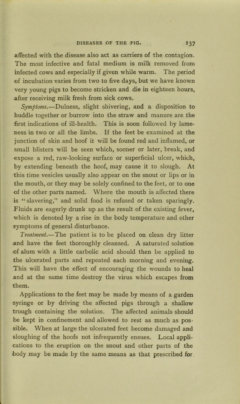 affected with the disease also act as carriers of the contagion. The most infective and fatal medium is milk removed from infected cows and especially if given while warm. The period of incubation varies from two to five days, but we have known very young pigs to become stricken and die in eighteen hours, after receiving milk fresh from sick cows. Symptoms.—Dulness, slight shivering, and a disposition to huddle together or burrow into the straw and manure are the first indications of ill-health. This is soon followed by lame- ness in two or all the limbs. If the feet be examined at the junction of skin and hoof it will be found red and inflamed, or small blisters will be seen which, sooner or later, break, and expose a red, raw-looking surface or superficial ulcer, which, by extending beneath the hoof, may cause it to slough. At this time vesicles usually also appear on the snout or lips or in the mouth, or they may be solely confined to the feet, or to one •of the other parts named. Where the mouth is affected there is “ slavering,” and solid food is refused or taken sparingly. Fluids are eagerly drunk up as the result of the existing fever, which is denoted by a rise in the body temperature and other symptoms of general disturbance. Treatment.—The patient is to be placed on clean dry litter -and have the feet thoroughly cleansed. A saturated solution of alum with a little carbolic acid should then be applied to the ulcerated parts and repeated each morning and evening. This will have the effect of encouraging the wounds to heal and at the same time destroy the virus which escapes from them. Applications to the feet may be made by means of a garden syringe or by driving the affected pigs through a shallow trough containing the solution. The affected animals should be kept in confinement and allowed to rest as much as pos- sible. When at large the ulcerated feet become damaged and sloughing of the hoofs not infrequently ensues. Local appli- cations to the eruption on the snout and other parts of the body may be made by the same means as that prescribed for.