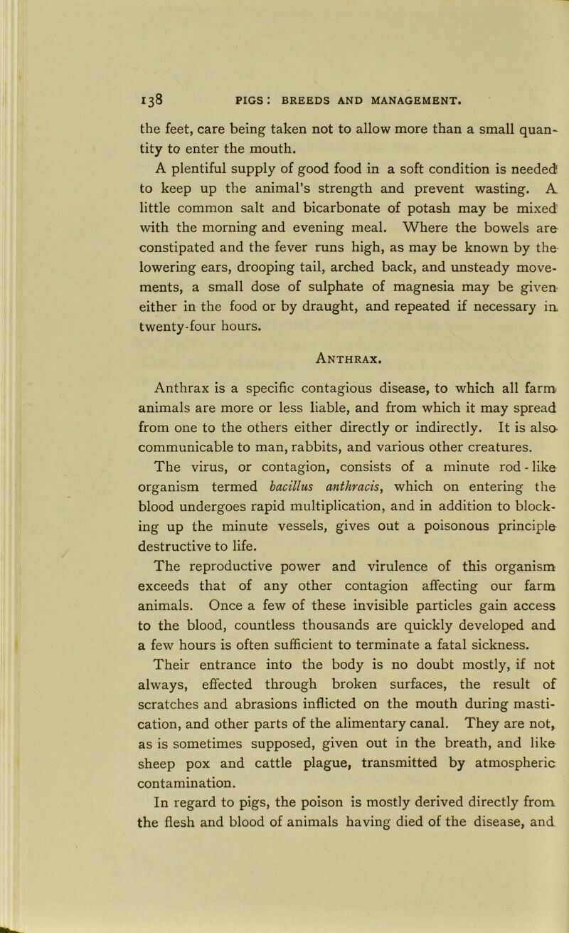 the feet, care being taken not to allow more than a small quan^ tity to enter the mouth. A plentiful supply of good food in a soft condition is needed! to keep up the animal’s strength and prevent wasting. A little common salt and bicarbonate of potash may be mixed with the morning and evening meal. Where the bowels aro constipated and the fever runs high, as may be known by the lowering ears, drooping tail, arched back, and unsteady move- ments, a small dose of sulphate of magnesia may be given either in the food or by draught, and repeated if necessary ia twenty-four hours. Anthrax. Anthrax is a specific contagious disease, to which all farm animals are more or less liable, and from which it may spread from one to the others either directly or indirectly. It is also- communicable to man, rabbits, and various other creatures. The virus, or contagion, consists of a minute rod - like organism termed bacillus anthracisy which on entering the blood undergoes rapid multiplication, and in addition to block- ing up the minute vessels, gives out a poisonous principle destructive to life. The reproductive power and virulence of this organism exceeds that of any other contagion affecting our farm animals. Once a few of these invisible particles gain access to the blood, countless thousands are quickly developed and a few hours is often sufficient to terminate a fatal sickness. Their entrance into the body is no doubt mostly, if not always, effected through broken surfaces, the result of scratches and abrasions inflicted on the mouth during masti- cation, and other parts of the alimentary canal. They are not, as is sometimes supposed, given out in the breath, and like sheep pox and cattle plague, transmitted by atmospheric contamination. In regard to pigs, the poison is mostly derived directly from the flesh and blood of animals having died of the disease, and.