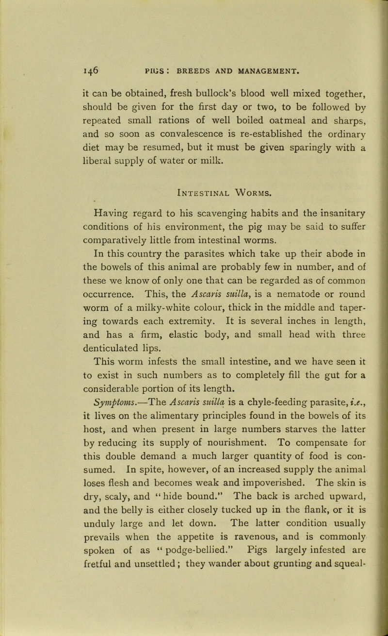 it can be obtained, fresh bullock’s blood well mixed together, should be given for the first day or two, to be followed by repeated small rations of well boiled oatmeal and sharps, and so soon as convalescence is re-established the ordinary diet may be resumed, but it must be given sparingly with a liberal supply of water or milk. Intestinal Worms. Having regard to his scavenging habits and the insanitary conditions of his environment, the pig may be said to suffer comparatively little from intestinal worms. In this country the parasites which take up their abode in the bowels of this animal are probably few in number, and of these we know of only one that can be regarded as of common occurrence. This, the Ascaris suilla, is a nematode or round worm of a milky-white colour, thick in the middle and taper- ing towards each extremity. It is several inches in length, and has a firm, elastic body, and small head with three denticulated lips. This worm infests the small intestine, and we have seen it to exist in such numbers as to completely fill the gut for a considerable portion of its length. Symptoms.—The Ascaris suilla is a chyle-feeding parasite, 1.if., it lives on the alimentary principles found in the bowels of its host, and when present in large numbers starves the latter by reducing its supply of nourishment. To compensate for this double demand a much larger quantity of food is con- sumed. In spite, however, of an increased supply the animal loses flesh and becomes weak and impoverished. The skin is dry, scaly, and “hide bound.” The back is arched upward, and the belly is either closely tucked up in the flank, or it is unduly large and let down. The latter condition usually prevails when the appetite is ravenous, and is commonly spoken of as “ podge-bellied.” Pigs largely infested are fretful and unsettled; they wander about grunting and squeal-