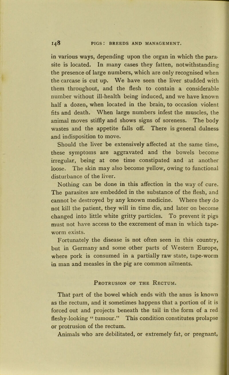 in various ways, depending upon the organ in which the para- site is located. In many cases they fatten, notwithstanding the presence of large numbers, which are only recognised when the carcase is cut up. We have seen the liver studded with them throughout, and the flesh to contain a considerable number without ill-health being induced, and we have known half a dozen, when located in the brain, to occasion violent fits and death. When large numbers infest the muscles, the animal moves stiffly and shows signs of soreness. The body wastes and the appetite falls off. There is general dulness and indisposition to move. Should the liver be extensively affected at the same time, these symptoms are aggravated and the bowels become irregular, being at one time constipated and at another loose. The skin may also become yellow, owing to functional disturbance of the liver. Nothing can be done in this affection in the way of cure. The parasites are embedded in the substance of the flesh, and cannot be destroyed by any known medicine. Where they do not kill the patient, they will in time die, and later on become changed into little white gritty particles. To prevent it pigs must not have access to the excrement of man in which tape- worm exists. Fortunately the disease is not often seen in this country, but in Germany and some other parts of Western Europe, where pork is consumed in a partially raw state, tape-worm in man and measles in the pig are common ailments. Protrusion of the Rectum. That part of the bowel which ends with the anus is known as the rectum, and it sometimes happens that a portion of it is forced out and projects beneath the tail in the form of a red fleshy-looking “ tumour.” This condition constitutes prolapse or protrusion of the rectum. Animals who are debilitated, or extremely fat, or pregnant.