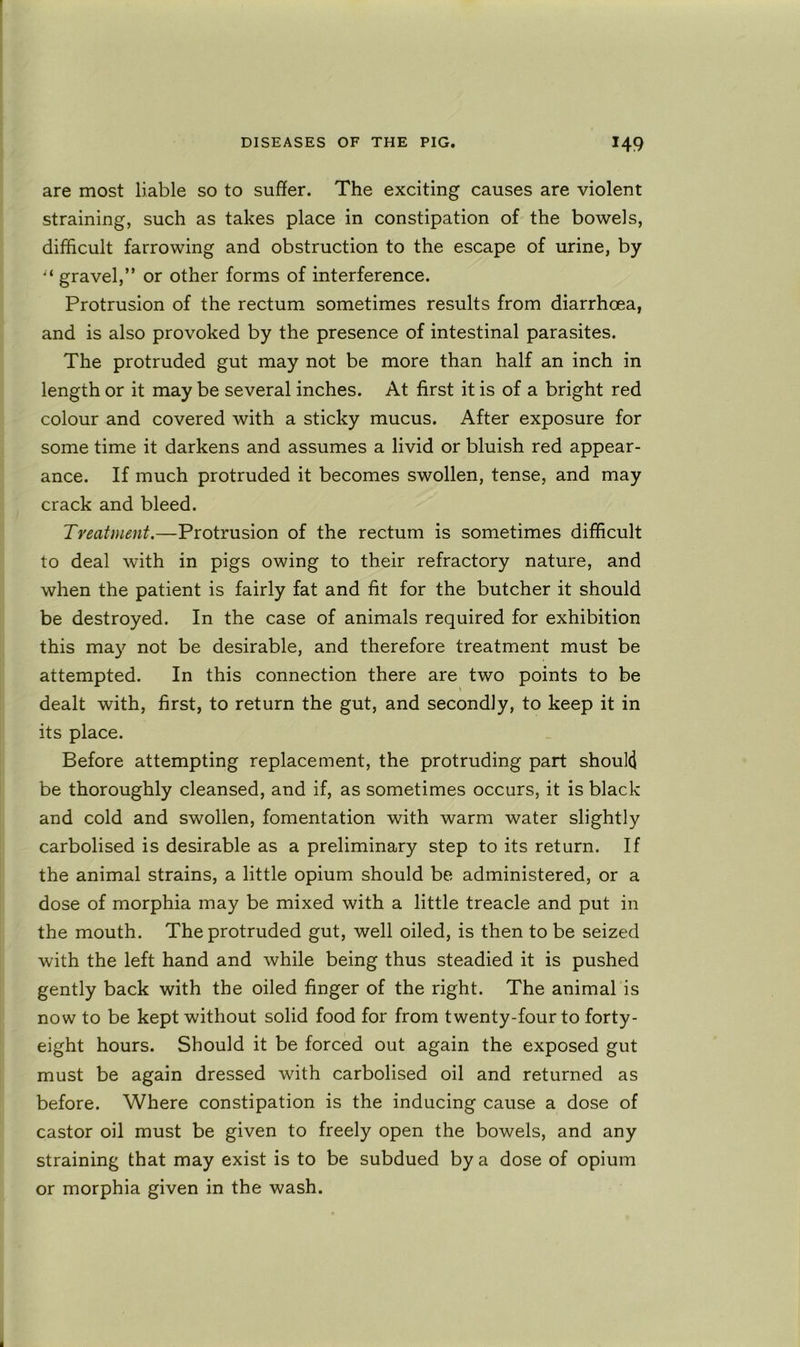 are most liable so to suffer. The exciting causes are violent straining, such as takes place in constipation of the bowels, difficult farrowing and obstruction to the escape of urine, by gravel,” or other forms of interference. Protrusion of the rectum sometimes results from diarrhoea, and is also provoked by the presence of intestinal parasites. The protruded gut may not be more than half an inch in length or it may be several inches. At first it is of a bright red colour and covered with a sticky mucus. After exposure for some time it darkens and assumes a livid or bluish red appear- ance. If much protruded it becomes swollen, tense, and may crack and bleed. Treatment.—Protrusion of the rectum is sometimes difficult to deal with in pigs owing to their refractory nature, and when the patient is fairly fat and fit for the butcher it should be destroyed. In the case of animals required for exhibition this may not be desirable, and therefore treatment must be attempted. In this connection there are two points to be dealt with, first, to return the gut, and secondly, to keep it in its place. Before attempting replacement, the protruding part should be thoroughly cleansed, and if, as sometimes occurs, it is black and cold and swollen, fomentation with warm water slightly carbolised is desirable as a preliminary step to its return. If the animal strains, a little opium should be administered, or a dose of morphia may be mixed with a little treacle and put in the mouth. The protruded gut, well oiled, is then to be seized with the left hand and while being thus steadied it is pushed gently back with the oiled finger of the right. The animal is now to be kept without solid food for from twenty-four to forty- eight hours. Should it be forced out again the exposed gut must be again dressed with carbolised oil and returned as before. Where constipation is the inducing cause a dose of castor oil must be given to freely open the bowels, and any straining that may exist is to be subdued by a dose of opium or morphia given in the wash.
