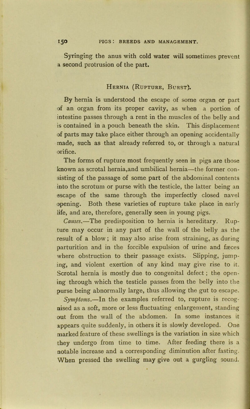 Syringing the anus with cold water will sometimes prevent a second protrusion of the part. Hernia (Rupture, Burst). By hernia is understood the escape of some organ or part of an organ from its proper cavity, as when a portion of intestine passes through a rent in the muscles of the belly and is contained in a pouch beneath the skin. This displacement of parts may take place either through an opening accidentally made, such as that already referred to, or through a natural orifice. The forms of rupture most frequently seen in pigs are those known as scrotal hernia,and umbilical hernia—the former con- sisting of the passage of some part of the abdominal contents into the scrotum or purse with the testicle, the latter being an escape of the same through the imperfectly closed navel opening. Both these varieties of rupture take place in early life, and are, therefore, generally seen in young pigs. Causes.—The predisposition to hernia is hereditary. Rup- ture may occur in any part of the wall of the belly as the result of a blow; it may also arise from straining, as during parturition and in the forcible expulsion of urine and faeces where obstruction to their passage exists. Slipping, jump- ing, and violent exertion of any kind may give rise to it. Scrotal hernia is mostly due to congenital defect; the open- ing through which the testicle passes from the belly into the purse being abnormally large, thus allowing the gut to escape. Symptoms.—In the examples referred to, rupture is recog- nised as a soft, more or less fluctuating enlargement, standing out from the wall of the abdomen. In some instances it appears quite suddenly, in others it is slowly developed. One marked feature of these swellings is the variation in size which they undergo from time to time. After feeding there is a notable increase and a corresponding diminution after fasting. When pressed the swelling may give out a gurgling sound.