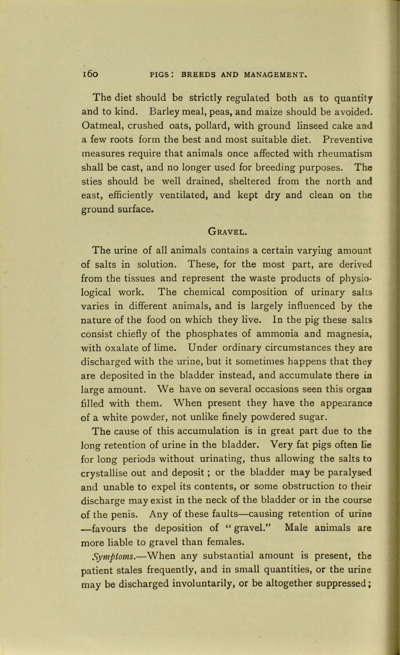 The diet should be strictly regulated both as to quantity and to kind. Barley meal, peas, and maize should be avoided. Oatmeal, crushed oats, pollard, with ground linseed cake and a few roots form the best and most suitable diet. Preventive measures require that animals once affected with rheumatism shall be cast, and no longer used for breeding purposes. The sties should be well drained, sheltered from the north and east, efficiently ventilated, and kept dry and clean on the ground surface. Gravel. The urine of all animals contains a certain varying amount of salts in solution. These, for the most part, are derived from the tissues and represent the waste products of physio- logical work. The chemical composition of urinary salts varies in different animals, and is largely influenced by the nature of the food on which they live. In the pig these salts consist chiefly of the phosphates of ammonia and magnesia, with oxalate of lime. Under ordinary circumstances they are discharged with the urine, but it sometimes happens that they are deposited in the bladder instead, and accumulate there in large amount. We have on several occasions seen this organ filled with them. When present they have the appearance of a white powder, not unlike finely powdered sugar. The cause of this accumulation is in great part due to the long retention of urine in the bladder. Very fat pigs often lie for long periods without urinating, thus allowing the salts to crystallise out and deposit ; or the bladder may be paralysed and unable to expel its contents, or some obstruction to their discharge may exist in the neck of the bladder or in the course of the penis. Any of these faults—causing retention of urine —favours the deposition of “ gravel.” Male animals are more liable to gravel than females. Symptoms.—When any substantial amount is present, the patient stales frequently, and in small quantities, or the urine may be discharged involuntarily, or be altogether suppressed;
