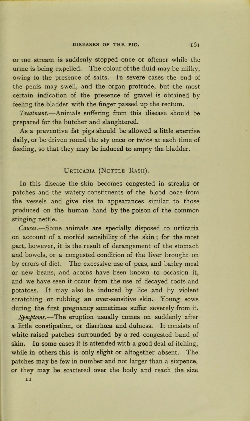 or tne stream is suddenly stopped once or oftener while the urine is being expelled. The colour of the fluid may be milky, owing to the presence of salts. In severe cases the end of the penis may swell, and the organ protrude, but the most certain indication of the presence of gravel is obtained by feeling the bladder with the finger passed up the rectum. Treatment.—Animals suffering from this disease should be prepared for the butcher and slaughtered. As a preventive fat pigs should be allowed a little exercise daily, or be driven round the sty once or twice at each time of feeding, so that they may be induced to empty the bladder. Urticaria (Nettle Rash). In this disease the skin becomes congested in streaks or patches and the watery constituents of the blood ooze from the vessels and give rise to appearances similar to those produced on the human hand by the poison of the common stinging nettle. Causes.—Some animals are specially disposed to urticaria on account of a morbid sensibility of the skin ; for the most part, however, it is the result of derangement of the stomach and bowels, or a congested condition of the liver brought on by errors of diet. The excessive use of peas, and barley meal or new beans, and acorns have been known to occasion it, and we have seen it occur from the use of decayed roots and potatoes. It may also be induced by lice and by violent scratching or rubbing an over-sensitive skin. Young sows during the first pregnancy sometimes suffer severely from it. Symptoms.—The eruption usually comes on suddenly after a little constipation, or diarrhoea and dulness. It consists of white raised patches surrounded by a red congested band of skin. In some cases it is attended with a good deal of itching, while in others this is only slight or altogether absent. The patches may be few in number and not larger than a sixpence, or they may be scattered over the body and reach the size 11