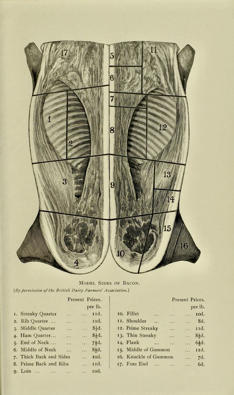Model Sides of Bacon. [Bj' permission of the British Dairy Farmers' Association.] Present Prices. Present Prices. per lb. per lb. I. Streaky Quarter ... iid. 10. Fillet lod. 2. Rib Quarter ... rid. II. Shoulder ... 8d. 3. Middle Quarter .. 8^d. 12. Prime Streaky ... iid. 4. Ilarri Quarter... ... 8^d. 13. Thin Streaky ... 8^d. 5. End of Neck ... ... 14. Flank ... 6Jd. 6. Middle of Neck ... 8^d. 15. Middle of Gammon ... ild. 7. Thick Back and Sides ... rod. 16. Knuckle of Gammon ... 7d. 8. Prime Back and Ribs ... I id. 17. Fore End 6d. 9. Loin ... lod.