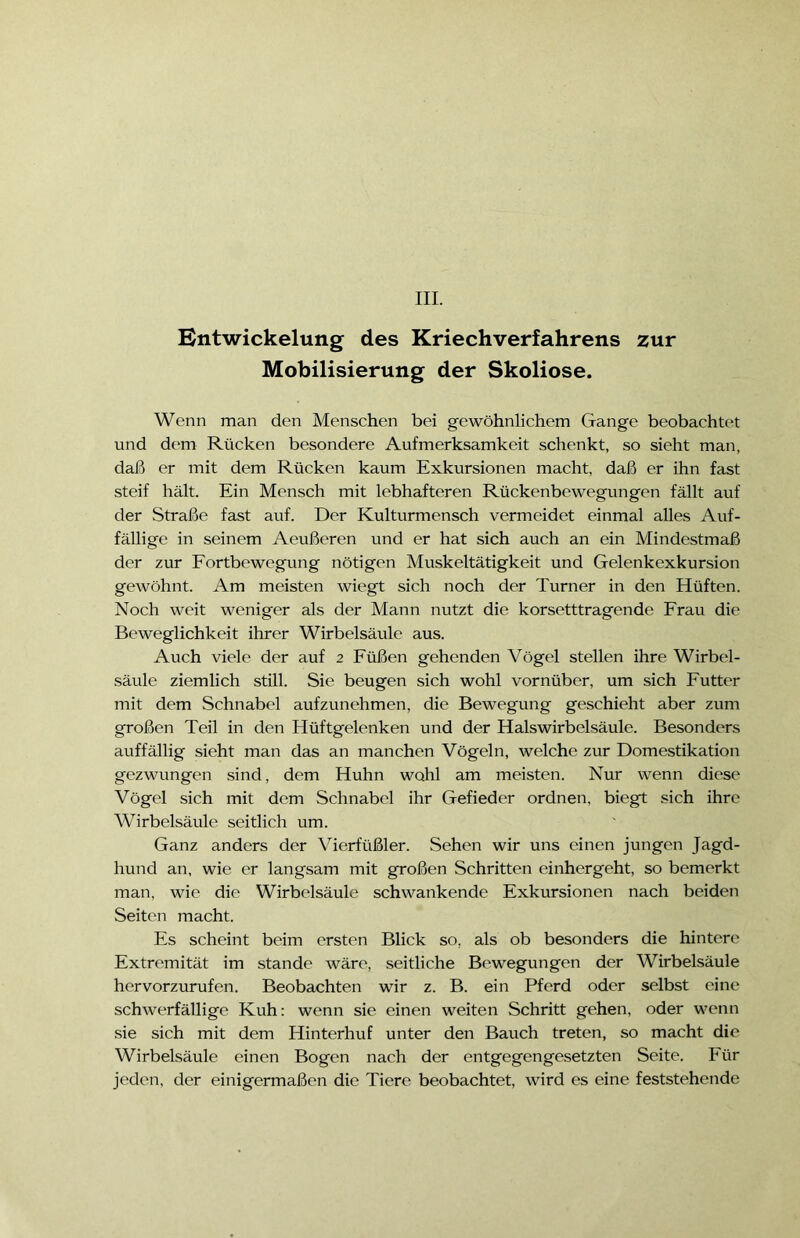 Entwickelung des Kriechverfahrens zur Mobilisierung der Skoliose. Wenn man den Menschen bei gewöhnlichem Gange beobachtet und dem Rücken besondere Aufmerksamkeit schenkt, so sieht man, daß er mit dem Rücken kaum Exkursionen macht, daß er ihn fast steif hält. Ein Mensch mit lebhafteren Rückenbewegungen fällt auf der Straße fast auf. Der Kulturmensch vermeidet einmal alles Auf- fällige in seinem Aeußeren und er hat sich auch an ein Mindestmaß der zur Fortbewegung nötigen Muskeltätigkeit und Gelenkexkursion gewöhnt. Am meisten wiegt sich noch der Turner in den Elüften. Noch weit weniger als der Mann nutzt die korsetttragende Frau die Beweglichkeit ihrer Wirbelsäule aus. Auch viele der auf 2 Füßen gehenden Vögel stellen ihre Wirbel- säule ziemlich still. Sie beugen sich wohl vornüber, um sich Futter mit dem Schnabel aufzunehmen, die Bewegung geschieht aber zum großen Teil in den Hüftgelenken und der Halswirbelsäule. Besonders auffällig sieht man das an manchen Vögeln, welche zur Domestikation gezwungen sind, dem Huhn wohl am meisten. Nur wenn diese Vögel sich mit dem Schnabel ihr Gefieder ordnen, biegt sich ihre Wirbelsäule seitlich um. Ganz anders der Vierfüßler. Sehen wir uns einen jungen Jagd- hund an, wie er langsam mit großen Schritten einhergeht, so bemerkt man, wie die Wirbelsäule schwankende Exkursionen nach beiden Seiten macht. Es scheint beim ersten Blick so, als ob besonders die hintere Extremität im stände wäre, seitliche Bewegungen der Wirbelsäule hervorzurufen. Beobachten wir z. B. ein Pferd oder selbst eine schwerfällige Kuh: wenn sie einen weiten Schritt gehen, oder wenn sie sich mit dem Hinterhuf unter den Bauch treten, so macht die Wirbelsäule einen Bogen nach der entgegengesetzten Seite. Für jeden, der einigermaßen die Tiere beobachtet, wird es eine feststehende