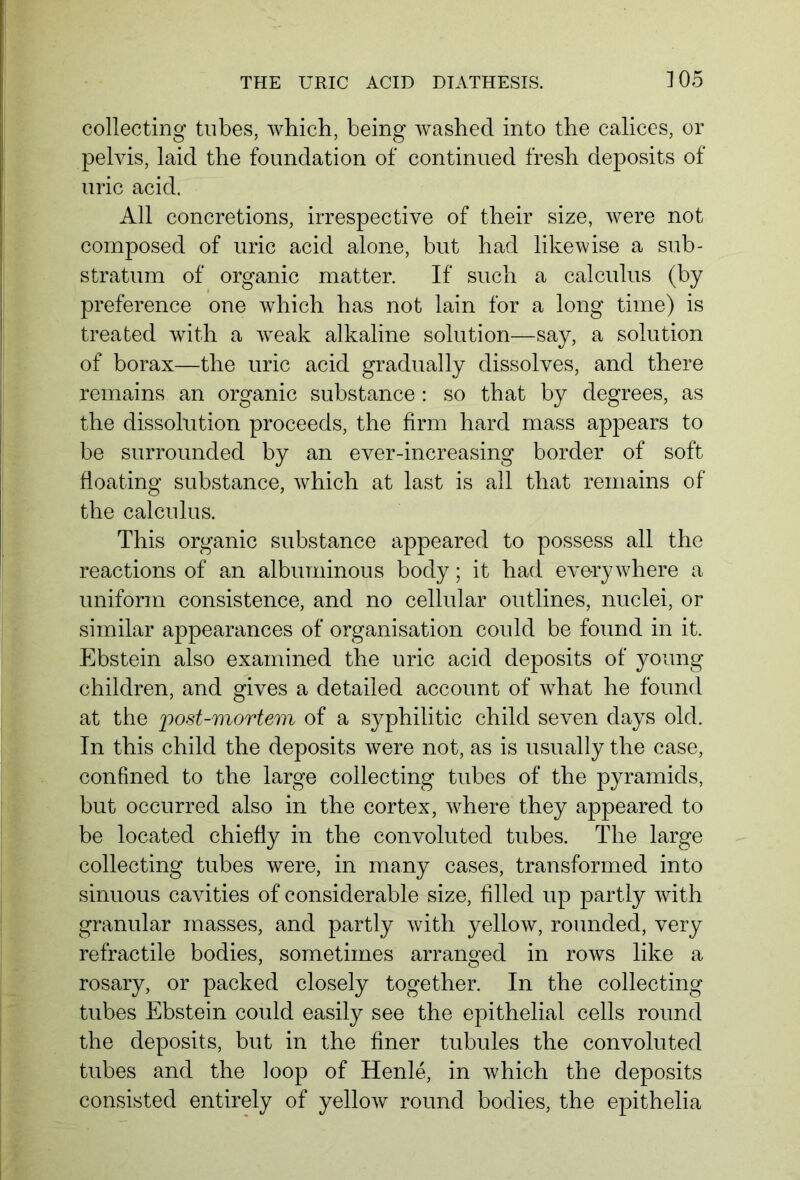 collecting tubes, which, being washed into the calices, or pelvis, laid the foundation of continued fresh deposits of uric acid. All concretions, irrespective of their size, were not composed of uric acid alone, but had likewise a sub- stratum of organic matter. If such a calculus (by preference one which has not lain for a long time) is treated with a weak alkaline solution—say, a solution of borax—the uric acid gradually dissolves, and there remains an organic substance: so that by degrees, as the dissolution proceeds, the firm hard mass appears to be surrounded by an ever-increasing border of soft floating substance, which at last is all that remains of the calculus. This organic substance appeared to possess all the reactions of an albuminous body; it had everywhere a uniform consistence, and no cellular outlines, nuclei, or similar appearances of organisation could be found in it. Ebstein also examined the uric acid deposits of young children, and gives a detailed account of what he found at the ,post-mortem of a syphilitic child seven days old. In this child the deposits were not, as is usually the case, confined to the large collecting tubes of the pyramids, but occurred also in the cortex, where they appeared to be located chiefly in the convoluted tubes. The large collecting tubes were, in many cases, transformed into sinuous cavities of considerable size, filled up partly with granular masses, and partly with yellow, rounded, very refractile bodies, sometimes arranged in rows like a rosary, or packed closely together. In the collecting tubes Ebstein could easily see the epithelial cells round the deposits, but in the finer tubules the convoluted tubes and the loop of Henle, in which the deposits consisted entirely of yellow round bodies, the epithelia