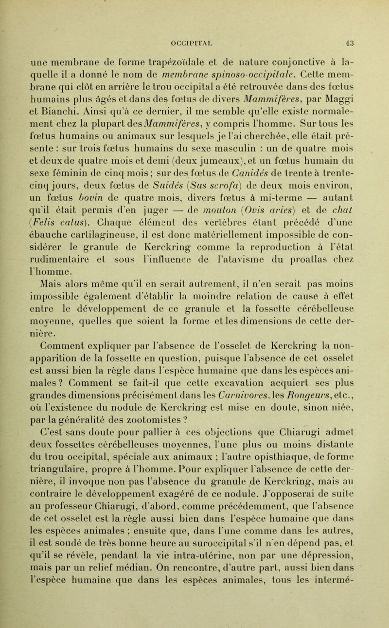 une membrane de forme trapézoïdale et de nature conjonctive à la- quelle il a donné le nom de membrane spinoso-occipitale. Cette mem- brane qui clôt en arrière le trou occipital a été retrouvée dans des fœtus humains plus âgés et dans des fœtus de divers Mammifères, par Maggi et Bianchi. Ainsi qu’à ce dernier, il me semble qu’elle existe normale- ment chez la plupart desy compris l’homme. Sur tous les fœtus humains ou animaux sur lesquels je l’ai cherchée, elle était pré- sente : sur trois fœtus humains du sexe masculin : un de quatre mois et deux de quatre mois et demi (deux jumeaux), et un fœtus humain du sexe féminin de cinq mois ; sur des fœtus de Canidés de trente à trente- cinq jours, deux fœtus de Suidés {Sus scrofa) de deux mois environ, un fœtus bovin de quatre mois, divers fœtus à mi-terme — autant qu’il était permis d’en juger — de mouton [Ovis aries) et de chat {Felis catus). Chaque élément des vertèbres étant précédé d’une ébauche cartilagineuse, il est donc matériellement impossible de con- sidérer le granule de Kerckring comme la reproduction à l’état rudimentaire et sous l’influence de l’atavisme du proatlas chez l’homme. Mais alors même qu’il en serait autrement, il n’en serait pas moins impossible également d’établir la moindre relation de cause à effet entre le développement de ce granule et la fossette cérébelleuse moyenne, quelles que soient la forme et les dimensions de cette der- nière. Comment expliquer par l’absence de l’osselet de Kerckring la non- apparition de la fossette en question, puisque l'absence de cet osselet est aussi bien la règle dans l'espèce humaine que dans les espèces ani- males ? Comment se fait-il que cette excavation acquiert ses plus grandes dimensions précisément dans les Carnivores, les Rongeurs, etc., où l’existence du nodule de Kerckring est mise en doute, sinon niée, par la généralité des zootomistes ? C’est sans doute pour pallier à ces objections que Chiarugi admet deux fossettes cérébelleuses moyennes, l’une plus ou moins distante du trou occipital, spéciale aux animaux ; l’autre opisthiaque, déformé triangulaire, propre à l’homme. Pour expliquer l’absence de cette der- nière, il invoque non pas l’absence du granule de Kerckring, mais au contraire le développement exagéré de ce nodule. J’opposerai de suite au professeur Chiarugi, d’abord, comme précédemment, que l’absence de cet osselet est la règle aussi bien dans l’espèce humaine que dans les espèces animales ; ensuite que, dans l’une comme dans les autres, il est soudé de très bonne heure au suroccipital s’il n'en dépend pas, et qu’il se révèle, pendant la vie intra-utérine, non par une dépression, mais par un relief médian. On rencontre, d’autre part, aussi bien dans l’espèce humaine que dans les espèces animales, tous les intermé-
