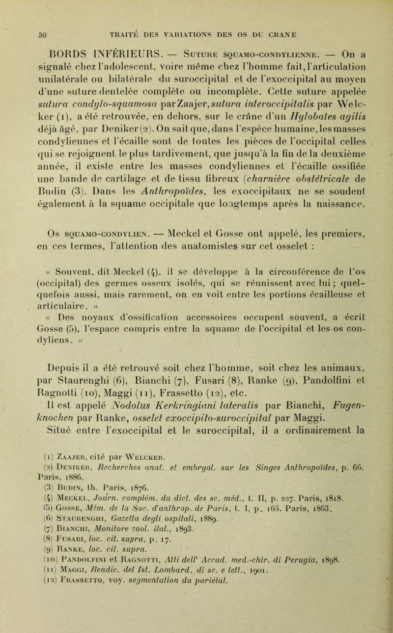 BORDS INFÉRIEURS. — Suture souamo-condylienne. — On a signalé chez l’adolescent, voire même chez l’homme fait, l’articulation unilatérale ou bilatérale du suroccipital et de l’exoccipital au moyen d’une suture dentelée complète ou incomplète. Cette suture appelée sutura condylo-squamosa parZaajer,sw/nca interoccipitalis par Welc- ker (i), a été retrouvée, en dehors, sur le crâne d’un Hylobates agilis déjà âgé, par Deniker (2). On sait que, dans l'espèce humaine, les masses condyliennes et l’écaille sont de toutes les pièces de l’occipital celles qui se rejoignent le plus tardivement, que jusqu’à la fin de la deuxième année, il existe entre les masses condyliennes et l’écaille ossifiée une bande de cartilage et de tissu fibreux [charnière obstétricale de Budin (3). Dans les Anthropoïdes, les exoccipitaux ne se soudent également à la squame occipitale que longtemps après la naissance. Os SQUAMO-CONDYLIEN. — Meckel et Gosse ont appelé, les premiers, en ces termes, l’attention des anatomistes sur cet osselet : (( Souvent, dit Meckel (4), il se développe à la circonférence de l’os (occipital) des germes osseux isolés, qui se réunissent avec lui ; quel- quefois aussi, mais rarement, on en voit entre les portions écailleuse et articulaire. » (( Des noyaux d’ossification accessoires occupent souvent, a écrit Gosse (5), l’espace compris entre la squame de l’occipital et les os con- dyliens. » Depuis il a été retrouvé soit chez Fhomme, soit chez les animaux, par Staurenghi (6), Bianchi (7), Fusari (8), Ranke (9), Pandolfini et Ragnotti (10), Maggi (ii), Frassetto (12), etc. Il est appelé Nodoliis Kerkringiani lateralis par Bianchi, Fiigen- knochen par Ranke, osselet exoccipito-suroccipital par Maggi. Situé entre l’exoccipital et le suroccipital, il a ordinairement la (1) Zaajer, cité par Welcker. (2) Deniker, Recherches anat. et embryol. sur les Singes Anthropoïdes, p. 66. Paris, 1886. (3) Budin, th. Paris, 1876. (4) Meckel, Joilrn. compléni, du dict. des sc. méd., t. II, p. 227. Paris, 1818. /5) Gosse, Mém. de la Soc. d'anlhrop. de Paris, t. I, p. i65. Paris, i863. (6) Staurenghi, Gazetta degli ospitali, 1889. (7) Bianchi, Monitore zool. liai., 1893. (8) Fusari, loc. cit. supra, p. 17. (9) Banke, loc. cit. supra. (10) Pandolfini et Bagnotti, Atti delV Accad. med.-chir. di Perugia, 1898. (11) Maggi, Rendic. del Ist. Lombard, di sc. e lett., 1901. (12) Frassetto, voy. segmentation du pariétal.