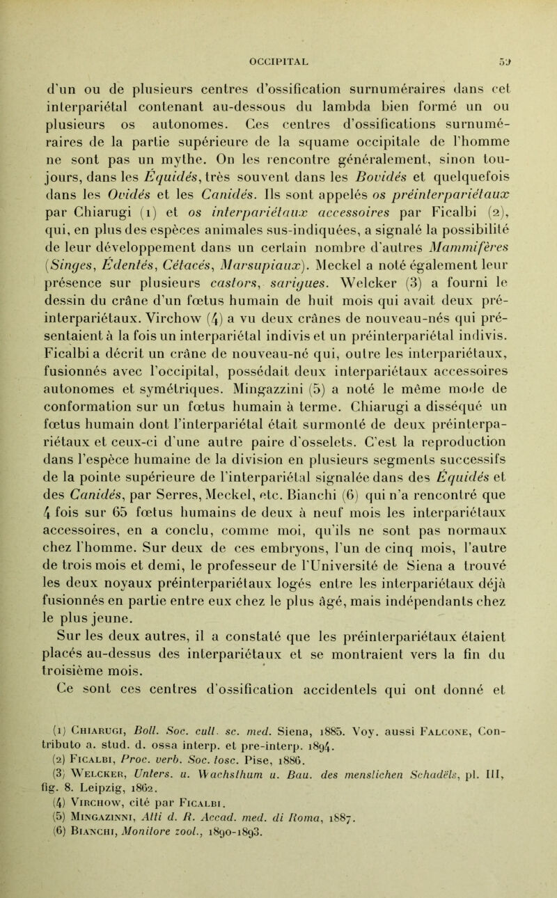 d’un ou de plusieurs centres d’ossification surnuméraires dans cet interpariétal contenant au-dessous du lambda bien formé un ou plusieurs os autonomes. Ces centres d’ossifications surnumé- raires de la partie supérieure de la squame occipitale de l’homme ne sont pas un mythe. On les rencontre généralement, sinon tou- jours, dans les Équidés^ive^ souvent dans les Bovidés et quelquefois dans les Ovidés et les Canidés. Ils sont appelés os préinlerpariétaux par Chiarugi (i) et os interpariétaux accessoires par Ficalbi (2), qui, en plus des espèces animales sus-indiquées, a signalé la possibilité de leur développement dans un certain nombre d’autres Mammifères [Singes, Edentés, Cétacés, Marsupiaux). Meckel a noté également leur présence sur plusieurs castors, sarigues. Welcker (3) a fourni le dessin du crâne d’un fœtus humain de huit mois qui avait deux pré- interpariétaux. Virchow (4) a vu deux crânes de nouveau-nés qui pré- sentaient à la fois un interpariétal indivis et un préinterpariétal indivis. Ficalbi a décrit un crâne de nouveau-né qui, outre les interpariétaux, fusionnés avec l’occipital, possédait deux interpariétaux accessoires autonomes et symétriques. Mingazzini (5) a noté le même mode de conformation sur un fœtus humain à terme. Chiarugi a disséqué un fœtus humain dont Finterpariétal était surmonté de deux préinterpa- riétaux et ceux-ci d’une autre paire d'osselets. C’est la reproduction dans l’espèce humaine de la division en plusieurs segments successifs de la pointe supérieure de Finterpariétal signalée dans des Équidés et des Canidés, par Serres, Meckel, etc. Bianchi (6) qui n’a rencontré que 4 fois sur 65 fœtus humains de deux à neuf mois les interpariétaux accessoires, en a conclu, comme moi, qu’ils ne sont pas normaux chez l’homme. Sur deux de ces embryons, l’un de cinq mois, l’autre de trois mois et demi, le professeur de l’Université de Siena a trouvé les deux noyaux préinterpariétaux logés entre les interpariétaux déjà fusionnés en partie entre eux chez le plus âgé, mais indépendants chez le plus jeune. Sur les deux autres, il a constaté que les préinterpariétaux étaient placés au-dessus des interpariétaux et se montraient vers la fin du troisième mois. Ce sont ces centres d’ossification accidentels qui ont donné et (ij Chiarugi, Boll. Soc. cull. sc. nied. Siena, i885. Voy. aussi Falcone, Con- tributo a. stud. d. ossa interp. et pre-interp. 1894. (2) Ficalbi, Proc. verb. Soc. tosc. Pise, 1886. (3) Welcker, Unters. ii. W'achsthum a. Baa. des menslichen Schadëls, pl. III, fig. 8. Leipzig, 1862. (4) Virchow, cité par Ficalbi. (5) Mingazinni, Alti d. R. Accad. med. di Borna, 1887. (6) Bianchi, Moniîore looL, 1890-1898.