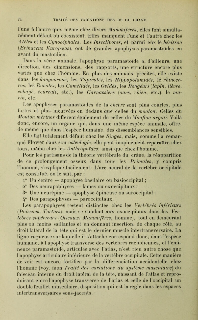 l’une à l’autre que, même chez divers Mammifères, elles font simulta- nément défaut ou coexistent. Elles manquent l’une et l’autre chez les Atèles et les Cynocéphales. Les Insectivores, et parmi eux le hérisson [Erinaceus Europæus), ont de grandes apophyses paramastoïdes en avant du mastoïdien. Dans la série animale, l’apophyse paramastoide a, d’ailleurs, une direction, des dimensions, des rapports, une structure encore plus variés que chez l’homme. En plus des animaux précités, elle existe dans les kangourous, les Tapiridés, les Hippopotamidés, le rhinocé- ros, les Bovidés, les Camélidés, les Ovidés, les Rongeurs (lapin, lièvre, cobaye, écureuil, etc.), les Carnassiers (ours, chien, etc.), le mu- rin, etc. Les apophyses paramastoïdes de la chèvre sont plus courtes, plus fortes et plus incurvées en dedans que celles du mouton. Celles du Mouton mérinos diffèrent également de celles du Mouflon argali. Voilà donc, encore, un organe qui, dans une même espèce animale, offre, de même que dans l’espèce humaine, des dissemblances sensibles. Elle fait totalement défaut chez les Singes, mais, comme l’a remar- qué Flower dans son ostéologie, elle peut inopinément reparaître chez tous, même chez les Anthropoïdes, ainsi que chez l’homme. Pour les partisans de la théorie vertébrale du crâne, la réapparition de ce prolongement osseux dans tous les Primates, y compris l’homme, s’explique facilement. L’arc neural de la vertèbre occipitale est constitué, on le sait, par : 1° Un centre — apophyse basilaire ou basioccipital ; 2° Des neurapophyses — lames ou ex occipitaux ; 3° Une neurépine — apophyse épineuse ou suroccipital ; 4” Des parapophyses — paroccipitaux. Les parapophyses restent distinctes chez les Vertébrés inférieurs (Poissons, Tortues), mais se soudent aux exoccipitaux dans les Ver- tébrés supérieurs (Oiseaux, Mammifères, homme), tout en demeurant plus ou moins saillantes et en donnant insertion, de chaque côté, au droit latéral de la tête qui est le dernier muscle intertransversaire. La ligne rugueuse sur laquelle il s’attache correspond donc, dans l’espèce humaine, à l’apophyse transverse des vertèbres rachidiennes, et l’émi- nence paramastoïde, articulée avec l’atlas, n’est rien autre chose que l’apophyse articulaire inférieure de la vertèbre occipitale. Cette manière de voir est encore fortifiée par la dilférenciation accidentelle chez l’homme (voy. mon Traité des variations du système musculaire) du faisceau interne du droit latéral de la tête, naissant de l’atlas et repro- duisant entre l’apophyse transverse de l’atlas et celle de l’occipital un double feuillet musculaire, disposition qui est la règle dans les espaces intertransversaires sous-jacents.