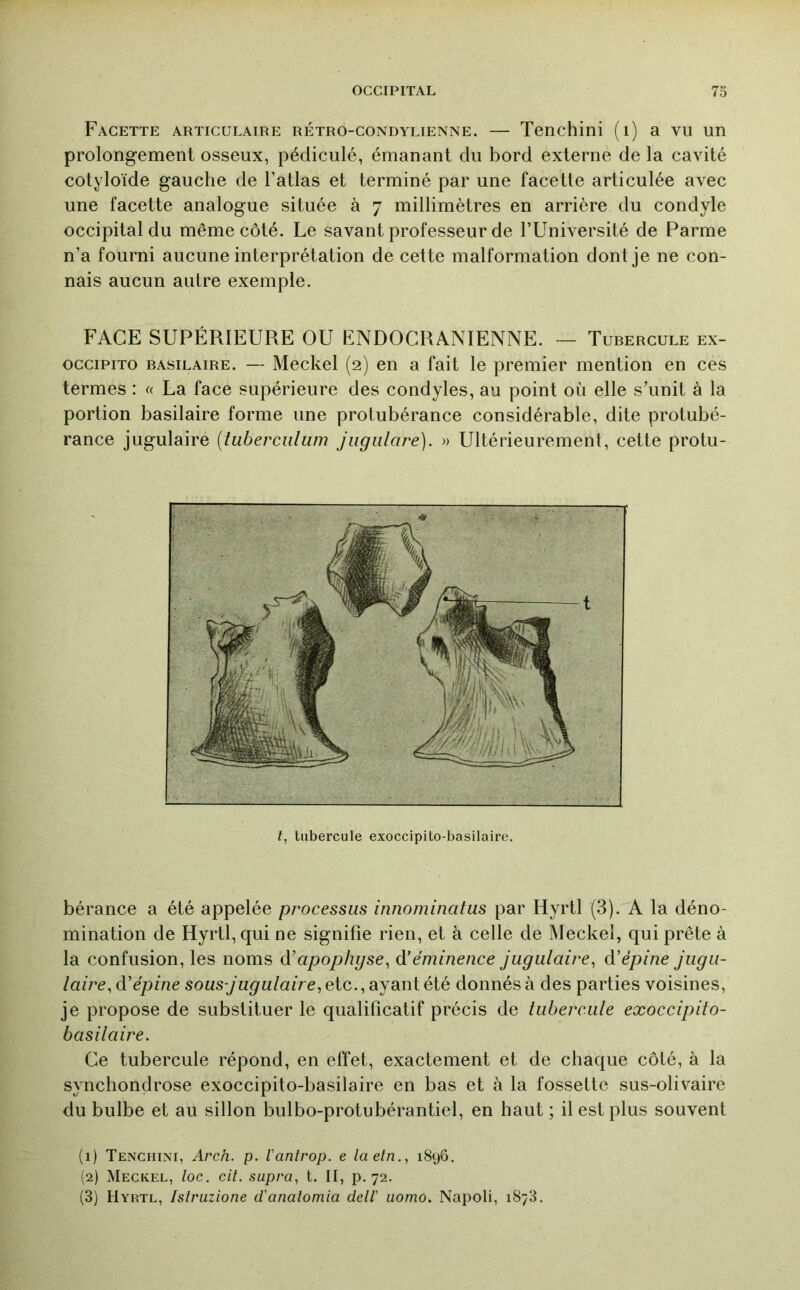 Facette articulaire rétro-condylienne. — Tenchini (i) a vu un prolongement osseux, pédiculé, émanant du bord externe de la cavité cotyloïde gauche de l’atlas et terminé par une facette articulée avec une facette analogue située à 7 millimètres en arrière du condyle occipital du même côté. Le savant professeur de l’Université de Parme n’a fourni aucune interprétation de cette malformation dont je ne con- nais aucun autre exemple. FACE SUPÉRIEURE OU ENDOCRANIENNE. — Tubercule ex- occipiTO BASILAIRE. — Meckel (2) en a fait le premier mention en ces termes : « La face supérieure des condyles, au point où elle s’unit à la portion basilaire forme une protubérance considérable, dite protubé- rance jugulaire [tuberculum jiigiilare). » Ultérieurement, cette protu- f, tubercule exoccipito-basilaire. bérance a été appelée processus innominatus par Hyrtl (3). A la déno- mination de Hyrtl, qui ne signifie rien, et à celle de Meckel, qui prête à la confusion, les noms à’apophyse^ à’éminence jugulaire^ à'épine jugu- laire, d'épine sous-jugulaire,eiG.^dijaiHiélé donnés à des parties voisines, je propose de substituer le qualificatif précis de tubercule exoccipito- basilaire. Ce tubercule répond, en effet, exactement et de chaque côté, à la synchondrose exoccipito-basilaire en bas et à la fossette sus-olivaire du bulbe et au sillon bulbo-protubérantiel, en haut ; il est plus souvent (1) Tenchini, Arch. p. Vantrop. e laetn., 1896, (2) Meckel, loc. cil. supra, t. II, p. 72. (3) Hyrtl, Istruzione d'anatomia dell' uomo. Napoli, 1873.