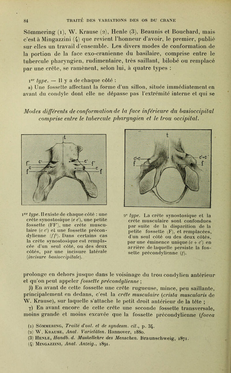 Sômmering (i), W. Krause (2), Henle (3), Beaunis et Bouchard, mais c’est à Mingazzini (4) que revient l’honneur d’avoir, le premier, publié sur elles un travail d’ensemble. Les divers modes de conformation de la portion de la face exo-cranienne du basilaire, comprise entre le tubercule pharyngien, rudimentaire, très saillant, bilobé ou remplacé par une crête, se ramènent, selon lui, à quatre types : 1®^ type. — Il y a de chaque côté : a) Une fossette affectant la forme d’un sillon, située immédiatement en avant du condyle dont elle ne dépasse pas l’extrémité interne et qui se Modes différents de conformation de ta face inférieure du basioccipitat comprise entre te tiibercute pharyngien et te trou occipitat. type. Il existe de chaque côté : une crête synostosique (e e’), une petite fossette (FF'), une crête muscu- laire (c c') et une fossette précon- dylienne [fp). Dans certains cas la crête synostosique est rempla- cée d’un seul côté, ou des deux côtés, par une incisure latérale [incisure basioccipitale). 2® type. La crête synostosique et la crête musculaire sont confondues par suite de la disparition de la petite fossette \F), et remplacées,, d’un seul côté ou des deux côtés, par une éminence unique (c -1- c') en arrière de laquelle persiste la fos- sette précondylienne (/). prolonge en dehors jusque dans le voisinage du trou condylieri antérieur et qu’on peut appeler fossette précondylienne ; P) En avant de cette fossette une crête rugueuse, mince, peu saillante, principalement en dedans, c’est la crête muscutaire {crista nmscutaris de W. Krause), sur laquelle s’attache le petit droit antérieur de la tête ; y) En avant encore de cette crête une seconde fossette transversale^ moins grande et moins excavée que la fossette précondylienne {fovea (1) Sômmering, Traité d'osî. et de syndesm. cit., p. 34. (2) W. Krause, Anat. Varietàten. Hannover, 1880. (3) Henle, Handb. d, Muskettehre des Menschen. Braunschweig, 1871. (4) Mingazzini, Anat. Anzeig.., 1891. 1