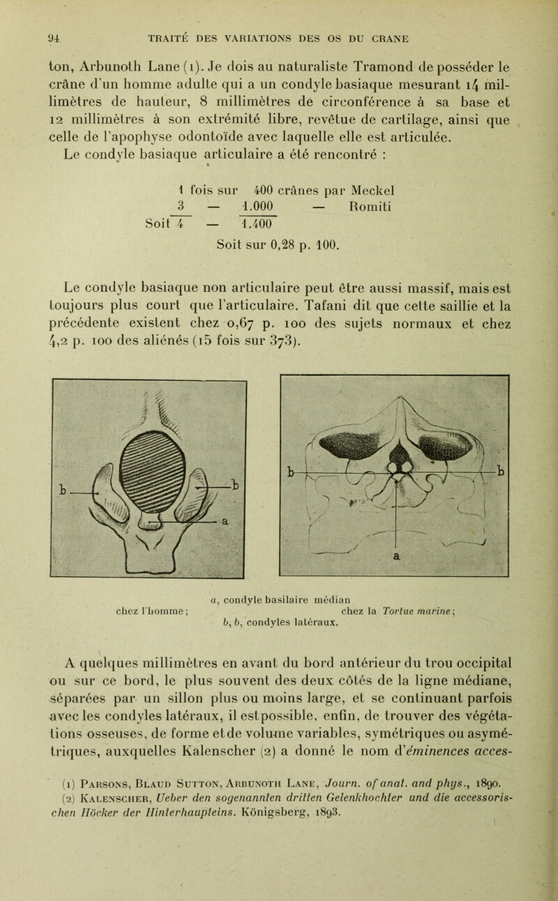 ton, Arbunoth Lane (i). Je dois au naturaliste Tramond de posséder le crâne d’un homme adulte qui a un condyle basiaque mesurant i/J mil- limètres de hauteur, 8 millimètres dé circonférence à sa base et 12 millimètres à son extrémité libre, revêtue de cartilage, ainsi que celle de l’apophyse odontoïde avec laquelle elle est articulée. Le condyle basiaque articulaire a été rencontré : % 1 fois sur 400 crânes par Meckel 3 — 1.000 — Romiti Soit“ — 1.400 Soit sur 0,28 p. 100. Le condyle basiaque non articulaire peut être aussi massif, mais est toujours plus court que l’articulaire. Tafani dit que cette saillie et la précédente existent chez 0,67 p. 100 des sujets normaux et chez 4,2 p. 100 des aliénés (i5 fois sur 878). a, condyle basilaire médian chez l’homme; chez la Tortue marine \ 5, 6, condyles latéraux. A quelques millimètres en avant du bord antérieur du trou occipital ou sur ce bord, le plus souvent des deux côtés de la ligne médiane, séparées par un sillon plus ou moins large, et se continuant parfois avec les condyles latéraux, il estpossible, enfin, de trouver des végéta- tions osseuses, de forme etde volume variables, symétriques ou asymé- triques, auxquelles Kalenscher (2) a donné le nom à'éminences acces- (1) Parsons, Blaud Sutton, Arbunoth Lane, Joiirn. ofanat. and phys., 1890. (2) Kalenscher, Ueber den sogenannlen dritlen Gelenkhochter and die accessoris- chen Ilôcker der Ilinterhaupteins. Kônigsberg, 1898.