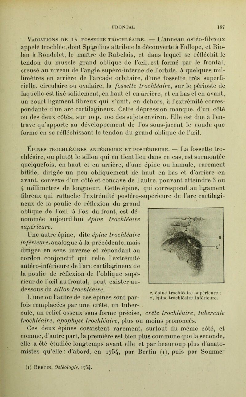 Variations de la fossette trochléaire. — L’anneau ostéo-fibreux appelé trochlée, dont Spigelius attribue la découverte à Fallope, et Rio- lan à Rondelet, le maître de Rabelais, et dans lequel se réfléchit le tendon du muscle grand oblique de l’œil, est formé par le frontal, creusé au niveau de l’angle supéro-interne de l’orbite, à quelques mil- limètres en arrière de l’arcade orbitaire, d’une fossette très superfi- cielle, circulaire ou ovalaire, la fossette trochléaire^ sur le périoste de laquelle est fixé solidement, en haut et en arrière, et en bas et en avant, un court ligament fibreux qui s’unit, en dehors, à l’extrémité corres- pondante d’un arc cartilagineux. Cette dépression manque, d’un côté ou des deux côtés, sur lop. loo des sujets environ. Elle est due à l’en- trave qu’apporte au développement de l’os sous-jacent le coude que forme en se réfléchissant le tendon du grand oblique de l’œil. Épines trochléaires antérieure et postérieure. — La fossette tro- chléaire, ou plutôt le sillon qui en tient lieu dans ce cas, est surmontée quelquefois, en haut et en arrière, d’une épine ou hamule, rarement bifide, dirigée un peu obliquement de haut en bas et d’arrière en avant, convexe d’un côté et concave de fautre, pouvant atteindre 3 ou 4 millimètres de longueur. Cette épine, qui correspond au ligament fibreux qui rattache l’extrémité postéro-supérieure de l’arc cartilagi- neux de la poulie de réflexion du grand oblique de l’œil à l’os du front, est dé- nommée aujourd’hui épine trochtéaire supérieure. Une autre épine, dite épine trochléaire m/eWenre, analogue à la précédente, mais dirigée en sens inverse et répondant au cordon conjonctif qui relie l’extrémité antéro-inférieure de l’arc cartilagineux de la poulie de réflexion de l’oblique supé- rieur de l’œil au frontal, peut exister au- dessous du sillon trochléaire. L’une ou fautre de ces épines sont par- fois remplacées par une crête, un tuber- cule, un relief osseux sans forme précise, crête trochléaire^ tubercule trochléaire^ apophyse trochléaire^ plus ou moins prononcés. Ces deux épines coexistent rarement, surtout du même côté, et comme, d’autre part, la première est bien plus commune que la seconde, elle a été étudiée longtemps avant elle et par beaucoup plus d’anato- mistes qu’elle: d’abord, en 1754, par Bertin (1), puis par Sômme- e, épine Lrocliléaire supérieure ; e', épine trochléaire inférieure. (1) Bertin, Osléologie, 1754.