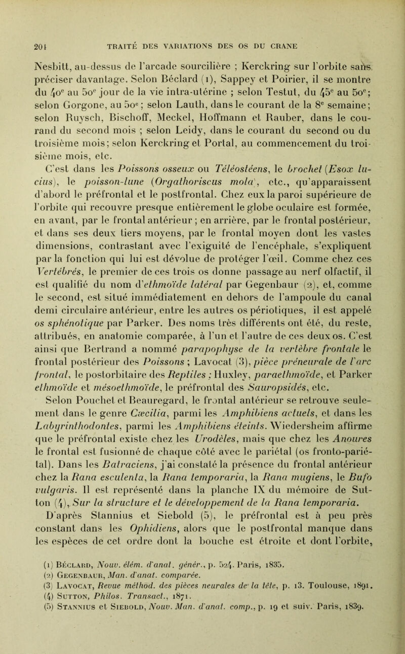 Nesbitt, au-dessus de l’arcade sourcilière ; Kerckring sur l’orbite sabs. préciser davantage. Selon Béclard (i), Sappey et Poirier, il se montre du au 5o® jour de la vie intra-utérine ; selon Testut, du 45® au 5o®; selon Gorgone, au 5oe ; selon Lautli, dans le courant de la 8® semaine; selon Ruysch, Bischoff, Meckel, Hoffmann et Rauber, dans le cou- rand du second mois ; selon Leidy, dans le courant du second ou du troisième mois; selon Kerckring et Portai, au commencement du troi- sième mois, etc. C’est dans les Poissons osseux ou Téléostéens, le brochet {Esox In- dus), le poisson-lune {Orgathoriscus mola), etc., qu’apparaissent d’abord le préfrontal et le postfrontal. Chez eux la paroi supérieure de l’orbite qui recouvre presque entièrement le globe oculaire est formée, en avant, par le frontal antérieur ; en arrière, par le frontal postérieur, et dans ses deux tiers moyens, par le frontal moyen dont les vastes dimensions, contrastant avec l’exiguité de l’encéphale, s’expliquent par la fonction qui lui est dévolue de protéger l’œil. Comme chez ces Vertébrés, le premier de ces trois os donne passage au nerf olfactif, il est qualifié du nom ^'ethmoïcle latéral par Cegenbaur (2), et, comme le second, est situé immédiatement en dehors de l’ampoule du canal demi circulaire antérieur, entre les autres os périotiques, il est appelé os sphénotique par Parker. Des noms très différents ont été, du reste, attribués, en anatomie comparée, à l’un et l’autre de ces deux os. C’est ainsi que Bertrand a nommé parapophyse de la vertèbre frontale le frontal postérieur des Poissons ; Lavocat (3), pièce préneurale de lare fronted, le postorbitaire des Reptiles ; Huxley, paraelhrnoïde, et Parker elhmoïde et mésoethmdide, le préfrontal des Saiiropsidés, etc. Selon Pouchet et Beauregard, le frontal antérieur se retrouve seule- ment dans le genre Cæcilia, parmi les Amphibiens actuels, et dans les Labyrinthodontes, parmi les Amphibiens éteints. Wiedersheim affirme que le préfrontal existe chez les Urodèles, mais que chez les Anoures le frontal est fusionné de chaque côté avec le pariétal (os fronto-parié- tal). Dans les Batraciens, j’ai constaté la présence du frontal antérieur chez la Rana esculenla, la Rana temporaria, la Rana mugiens, le Bufo vulyaris. 11 est représenté dans la planche IX du mémoire de Sut- ton Ç^),.Sur la structure et le développement de la Rana temporaria. D'après Stannius et Siebold (5), le préfrontal est à peu près constant dans les Ophidiens, alors que le postfrontal manque dans les espèces de cet ordre dont la bouche est étroite et dont l’orbite, (1) Béclard, Nouv. éléni. d'anal. génér., p. 524- Paris, i835. (2) Gegenbaur, Man. d'anal, comparée. (3) Lavocat, Revue méthod. des pièces neurales de-la lêle, p. i3. Toulouse, 1891. (4) SuTTON, Philos. Transacl., 1871.