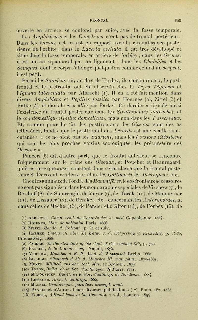 ouverte en arrière, se confond, par suite, avec la fosse temporale. Les Amphisbènes et les Caméléons n’ont pas de frontal postérieur. Dans les Varans^ cet os est en rapport avec la circonférence posté- rieure de l’orbite ; dans le Lacerta ocellata^ il est très développé et situé dans la fosse temporale, en arrière de l’orbite ; dans les Geckos^ il est uni au squarnosal par un ligament ; dans les Chalcides et les Scinques^ dont le corps s’allonge quelquefois comme celui d’un serpent^ il est petit. Parmi Sauriens où, au dire de Huxley, ils sont normaux, le post- frontal et le préfrontal ont été observés chez le Tejiis Téguixin et VIgiiana tiiberciilala par Albrecht (i). Il en a été fait mention dans divers Amphibiens et Reptiles fossiles par Hoernes (2), Zittel (3) et Ratke (4), et dans le crocodile par Parker. Ce dernier a signalé aussi l’existence du frontal postérieur dans les Struthionidés {autruche), et le coq domestique {Galliis domesticus), mais non dans les Passereaux. Et,' comme pour lui '5), les postfrontaux des Oiseaux sont des os icthyoïdes, tandis que le postfrontal des Lézards est une écaille sous- cutanée ; « ce ne sont pas les Sauriens, mais les Poissons téléostéens qui sont les plus proches voisins zoologiques, les précurseurs des Oiseaux ». Panceri (6) dit, d’autre part, que le frontal antérieur se rencontre fréquemment sur le crâne des Oiseaux, et Pouchet et Beauregard, qu’il est presque aussi constant dans cette classe que le frontal posté- rieur et décrivent ces deux os chez les Gallinacés, Perroquets, etc. Chez les animaux de l’ordre des il/nmmi/eres,les os frontaux accessoires ne sont pas signalés ni dans les monographies spéciales de Virchow (7),de Bischoff (8), de Staurenghi,de Meyer (9),de Torôk (10), de Manouvrier (11), de Lissauer (12), de Deniker, etc., concernant les Anthropoïdes, ni dans celles de Meckel (i3), de Pander et d’Alton (i/|), de Forbes (i5), de (1) Albrecht, Comp. rend, du Congrès des se. niéd. Copenhague. i88/J. (2) Hoernes, Man. de paléontol. Paris, 1886. (3) Zittel, Handb. d. Paleonl , p. 82 et suiv. (4) Rathke, Unîersuch. uber die Entw. u. d. Kôrperbau d. Krokodile, p. 34-36, Braimsweig, 1866. (5) Parker, On lhe structure of the skutt of the coninion fuit, p. 760. (6) Panceri, Note d. anat. comp. Napoli, 1875. {7) Virchow, Monatsb. d. K. P. Akad. d. Wissensch Berlin, I880. (8) Bischoff, Sitzungsb. d Ak. d. München Kl. mal. phgs., 1870-1881. (9) Meyer, Miltheil. aus dem zool. Mus. zu Dresden, 1877. (10) loROK, Bullet. de la Soc. d’anthropol. de Paris, 1881. (11) Manouvrier, Ballet, de la Soc. d’anthrop. de Bordeaux, 1884. (12) Lissauer, Arch. f. anthrop., i885. (13) Meckel, Ornilhorgnci paradoxi descript. anat. (14) Pander et d’Alton, Leurs diverses publications (12). Bonn, i82i-i838. (15) Forbes, A Hand-book lo the Primates. 2 vol., London, 1894.