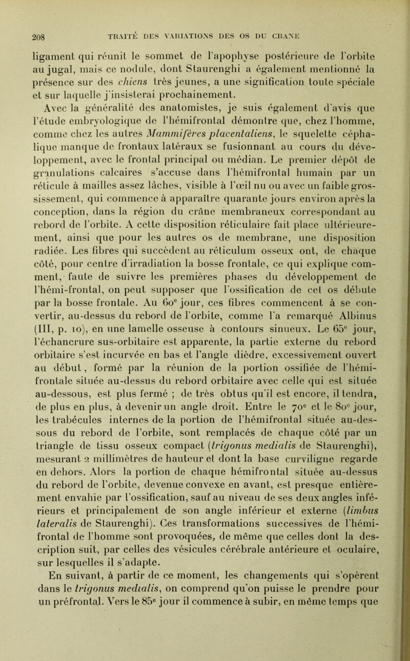 ligament qui réunit le sommet de l’apophyse postérieure de l’orbite au jugal, mais ce nodule, dont Staurenghi a également mentionné la présence sur des chiens très jeunes, a une signification toute spéciale et sur laquelle j’insisterai prochainement. Avec la généralité des anatomistes, je suis également d’avis que l’étude embryologique de l’hémifrontal démontre que, chez l’homme, comme chez les autres Mammifères placentaliens^ le squelette cépha- lique manque de frontaux latéraux se fusionnant au cours du déve- loppement, avec le frontal principal ou médian. Le premier dépôt de granulations calcaires s’accuse dans l'hémifrontal humain par un réticule à mailles assez lâches, visible à l’œil nu ou avec un faible gros- sissement, qui commence à apparaître quarante jours environ après la conception, dans la région du crâne membraneux correspondant au rebord de l’orbite. A cette disposition réticulaire fait place ultérieure- ment, ainsi que pour les autres os de membrane, une disposition radiée. Les fibres qui succèdent au réticulum osseux ont, de chaque côté, pour centre d’irradiation la bosse frontale, ce qui explique com- ment, faute de suivre les premières phases du développement de l’hémi-frontal, on peut supposer que l’ossification de cet os débute parla bosse frontale. Au bonjour, ces fibres commencent à se con- vertir, au-dessus du rebord de forbite, comme fa remarqué Albinus (III, p. lo), en une lamelle osseuse à contours sinueux. Le 65® jour, l’échancrure sus-orbitaire est apparente, la partie externe du rebord orbitaire s’est incurvée en bas et l’angle dièdre, excessivement ouvert au début, formé par la réunion de la portion ossifiée de l’hémi- frontale située au-dessus du rebord orbitaire avec celle qui est située au-dessous, est plus fermé ; de très obtus qu’il est encore, il tendra, de plus en plus, à devenir un angle droit. Entre le 70® et le 80® jour, les trabécules internes de la portion de l’hémifrontal située au-des- sous du rebord de l’orbite, sont remplacés de chaque côté par un triangle de tissu osseux compact {trigoniis medialis de Staurenghi), mesurant 2 millimètres de hauteur et dont la base curviligne regarde en dehors. Alors la portion de chaque hémifrontal située au-dessus du rebord de l’orbite, devenue convexe en avant, est presque entière- ment envahie par l’ossification, sauf au niveau de ses deux angles infé- rieurs et principalement de son angle inférieur et externe (limbiis lateralis de Staurenghi). Ces transformations successives de l’hémi- frontal de l’homme sont provoquées, de même que celles dont la des- cription suit, par celles des vésicules cérébrale antérieure et oculaire, sur lesquelles il s’adapte. En suivant, à partir de ce moment, les changements qui s’opèrent dans le trigonus medialis^ on comprend qu’on puisse le prendre pour un préfrontal. Vers le 85® jour il commence à subir, en même temps que
