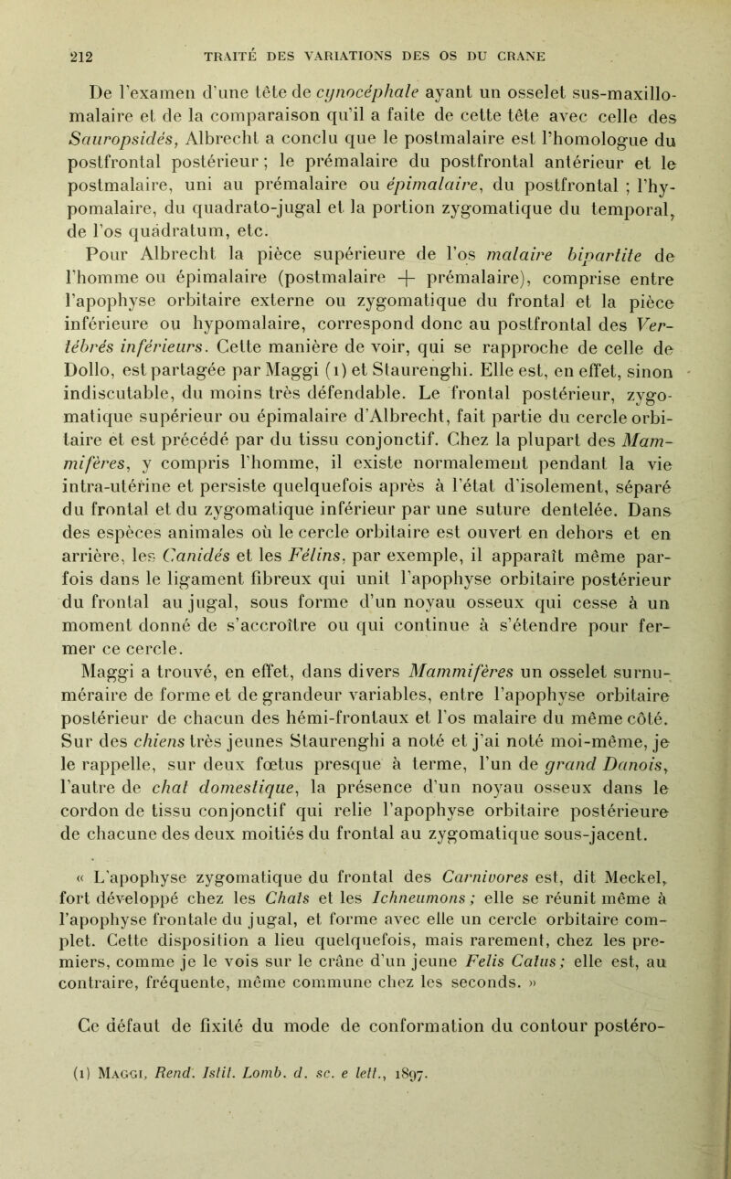 De l’examen d’une tête de cynocéphale ayant un osselet sus-maxillo- malaire et de la comparaison qu’il a faite de cette tête avec celle des Saiiropsidés, Albrecht a conclu que le postmalaire est l’homologue du postfrontal postérieur ; le prémalaire du postfrontal antérieur et le postmalaire, uni au prémalaire ou épimalaire, du postfrontal ; l’hy- pomalaire, du quadrato-jugal et la portion zygomatique du temporal^ de l’os quâdratum, etc. Pour Albrecht la pièce supérieure de l’os malaire bipartite de l’homme ou épimalaire (postmalaire + prémalaire), comprise entre l’apophyse orbitaire externe ou zygomatique du frontal et la pièce inférieure ou hypomalaire, correspond donc au postfrontal des Ver- tébrés inférieurs. Cette manière de voir, qui se rapproche de celle de Dollo, est partagée par Maggi (i) et Staurenghi. Elle est, en effet, sinon indiscutable, du moins très défendable. Le frontal postérieur, zygo- matique supérieur ou épimalaire d’Albrecht, fait partie du cercle orbi- taire et est précédé par du tissu conjonctif. Chez la plupart des Mam- mifères, y compris l’homme, il existe normalement pendant la vie intra-utérine et persiste quelquefois après à l’état d’isolement, séparé du frontal et du zygomatique inférieur par une suture dentelée. Dans des espèces animales où le cercle orbitaire est ouvert en dehors et en arrière, les Canidés et les Fétins, par exemple, il apparaît même par- fois dans le ligament fibreux qui unit l’apophyse orbitaire postérieur du frontal aujugal, sous forme d’un noyau osseux qui cesse à un moment donné de s’accroître ou qui continue à s’étendre pour fer- mer ce cercle. Maggi a trouvé, en effet, dans divers Mammifères un osselet surnu- méraire de forme et de grandeur variables, entre l’apophyse orbitaire postérieur de chacun des hémi-frontaux et l’os malaire du même côté. Sur des chiens très jeunes Staurenghi a noté et j’ai noté moi-même, je le rappelle, sur deux fœtus presque à terme, l’un de grand Danois, l’autre de chat domestique, la présence d’un noyau osseux dans le cordon de tissu conjonctif qui relie l’apophyse orbitaire postérieure de chacune des deux moitiés du frontal au zygomatique sous-jacent. U L’apophyse zygomatique du frontal des Carnivores est, dit Meckef fort développé chez les Chats et les Ichneiimons ; elle se réunit même à l’apophyse frontale du jugal, et forme avec elle un cercle orbitaire com- plet. Cette disposition a lieu quelquefois, mais rarement, chez les pre- miers, comme je le vois sur le crâne d’un jeune Felis Calas; elle est, au contraire, fréquente, même commune chez les seconds. » Ce défaut de fixité du mode de conformation du contour postéro- (i) Maggi, Rend. Istil. Lomb. d. sc. e lett., 1897.