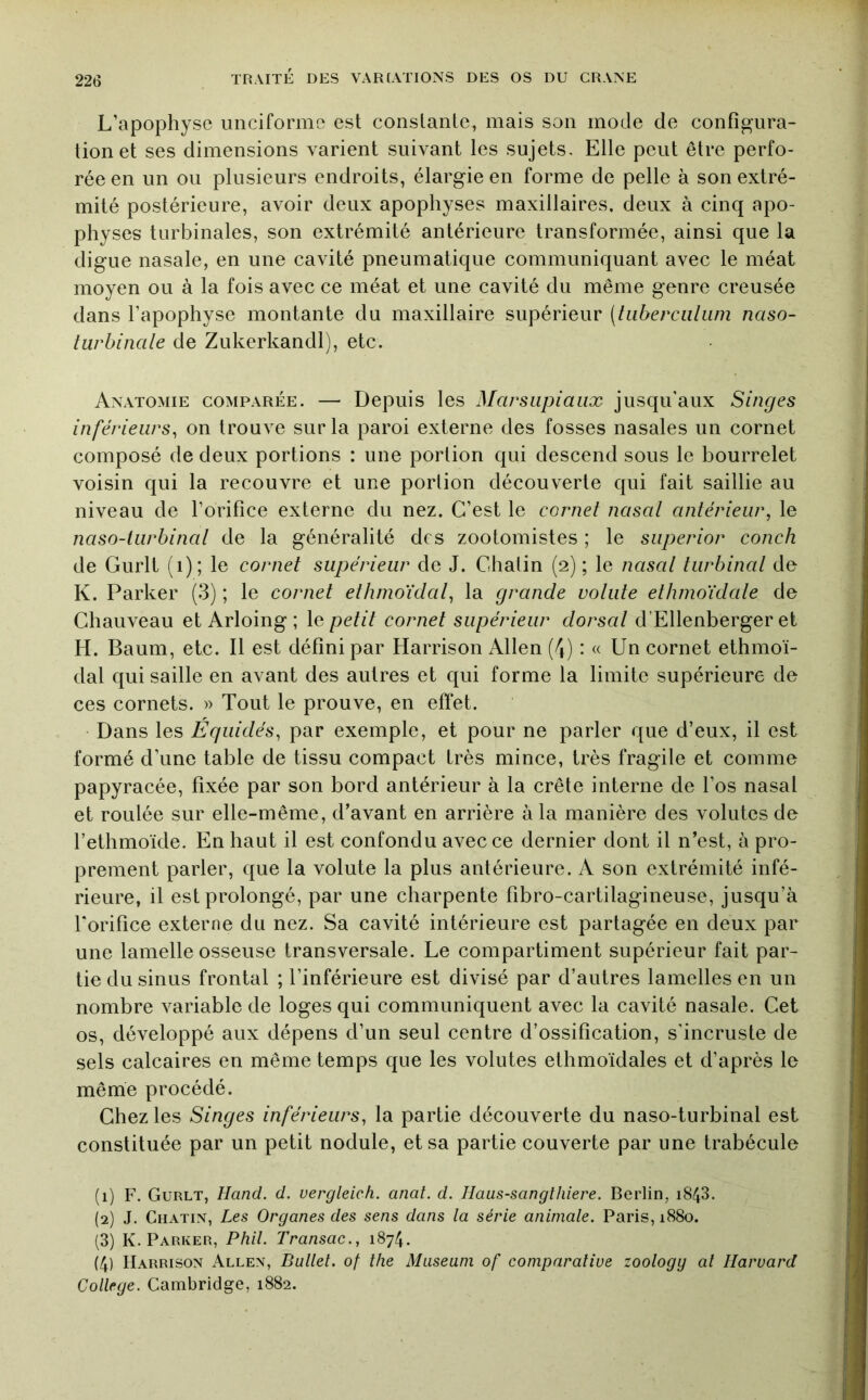 L’apophyse uiiciforme est constante, mais son mode de configura- tion et ses dimensions varient suivant les sujets. Elle peut être perfo- rée en un ou plusieurs endroits, élargie en forme de pelle à son extré- mité postérieure, avoir deux apophyses maxillaires, deux à cinq apo- physes turbinales, son extrémité antérieure transformée, ainsi que la digue nasale, en une cavité pneumatique communiquant avec le méat moyen ou à la fois avec ce méat et une cavité du même genre creusée dans l’apophyse montante du maxillaire supérieur [hiberciiliim naso- turbinale de Zukerkandl), etc. Anatomie comparée. —■ Depuis les Marsupiaux jusqu’aux Singes inférieurs^ on trouve sur la paroi externe des fosses nasales un cornet composé de deux portions : une portion qui descend sous le bourrelet voisin qui la recouvre et une portion découverte qui fait saillie au niveau de l’orifice externe du nez. C’est le cornet nasal antérieur, le naso-lurbinal de la généralité des zootomistes ; le superior conch de Gurlt (i); le cornet supérieur de J. Chatin (2) ; le nasal turbinai de K. Parker (3) ; le cornet ethmoïdal, la grande volute ethnioïdate de Chauveau et Arloing ; le petit cornet supérieur dorsal d’Ellenberger et H. Baum, etc. Il est défini par Harrison Allen (4) : « Un cornet ethmoï- dal qui saille en avant des autres et qui forme la limite supérieure de ces cornets. » Tout le prouve, en eft*et. Dans les Équidés, par exemple, et pour ne parler que d’eux, il est formé d’une table de tissu compact très mince, très fragile et comme papyracée, fixée par son bord antérieur à la crête interne de l’os nasal et roulée sur elle-même, d’avant en arrière à la manière des volutes de l’ethmoïde. En haut il est confondu avec ce dernier dont il n’est, à pro- prement parler, que la volute la plus antérieure. A son extrémité infé- rieure, il est prolongé, par une charpente fibro-cartilagineuse, jusqu’à l’orifice externe du nez. Sa cavité intérieure est partagée en deux par une lamelle osseuse transversale. Le compartiment supérieur fait par- tie du sinus frontal ; l’inférieure est divisé par d’autres lamelles en un nombre variable de loges qui communiquent avec la cavité nasale. Cet os, développé aux dépens d’un seul centre d’ossification, s'incruste de sels calcaires en même temps que les volutes ethmoïdales et d’après le même procédé. Chez les Singes inférieurs, la partie découverte du naso-turbinal est constituée par un petit nodule, et sa partie couverte par une trabécule (1) F. Gurlt, Hand. d. uergleich. anal. d. Haus-sangthiere. Berlin, i843. (2) J. CiiATiN, Les Organes des sens dans la série animale. Paris, 1880. (3) K. Parker, Phil. Transac., 1874. (4) Harrison Allen, Ballet, of the Muséum of comparative zoology al Harvard College. Cambridge, 1882.