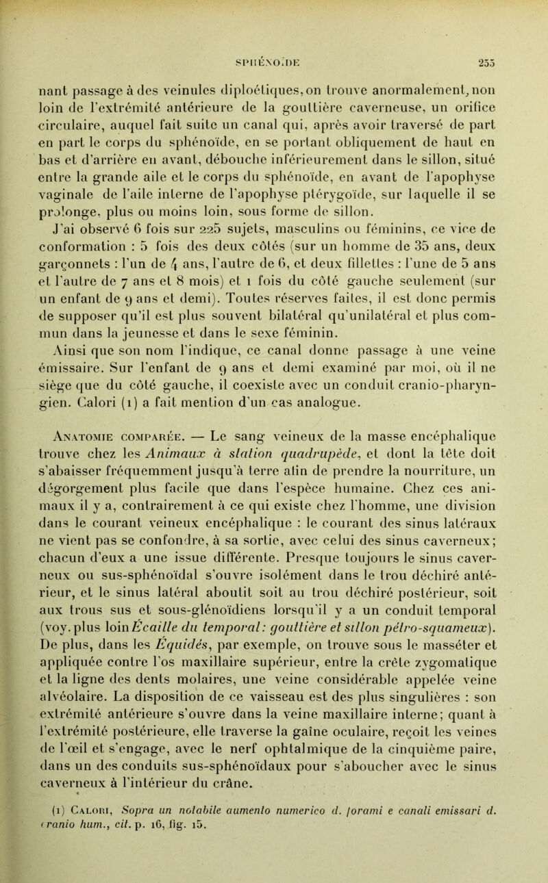 liant passage à des veinules diploétiques, on trouve anormalement^ non loin de l’extrémité antérieure de la gouttière caverneuse, un orifice circulaire, auquel fait suite un canal qui, après avoir traversé de part en part le corps du sphénoïde, en se portant obliquement de haut en bas et d’arrière en avant, débouche inférieurement dans le sillon, situé entre la grande aile et le corps du sphénoïde, en avant de l’apophyse vaginale de l’aile interne de l’apophyse ptérygoïde, sur laquelle il se prolonge, plus ou moins loin, sous forme de sillon. J’ai observé 6 fois sur 226 sujets, masculins ou féminins, ce vice de conformation : 5 fois des deux côtés (sur un homme de 35 ans, deux garçonnets : l’un de 4 ans, l’autre de 6, et deux fillettes : l’une de 5 ans et l’autre de 7 ans et 8 mois) et 1 fois du côté gauche seulement (sur un enfant de 9 ans et demi). Toutes réserves faites, il est donc permis de supposer qu’il est plus souvent bilatéral qu’unilatéral et plus com- mun dans la jeunesse et dans le sexe féminin. Ainsi que son nom l’indique, ce canal donne passage à une veine émissaire. Sur l’enfant de 9 ans et demi examiné par moi, où il ne siège que du côté gauche, il coexiste avec un conduit cranio-pharyn- gien. Calori (1) a fait mention d’un cas analogue. Anatomie comparée. — Le sang veineux de la masse encéphalique trouve chez les Animaux à slation quadrupède^ et dont la tête doit s’abaisser fréquemment jusqu’à terre atin de prendre la nourriture, un dégorgement plus facile que dans l’espèce humaine. Chez ces ani- maux il y a, contrairement à ce qui existe chez l'homme, une division dans le courant veineux encéphalique : le courant des sinus latéraux ne vient pas se confondre, à sa sortie, avec celui des sinus caverneux; chacun d’eux a une issue différente. Presque toujours le sinus caver- neux ou sus-sphénoïdal s’ouvre isolément dans le trou déchiré anté- rieur, et le sinus latéral aboutit soit au trou déchiré postérieur, soit aux trous sus et sous-glénoïdiens lorsqu’il y a un conduit temporal (voy.plus XomEcaille du temporal: gouttière et sillon pétro-squameiix). De plus, dans les Équidés^ par exemple, on trouve sous le masséter et appliquée contre l’os maxillaire supérieur, entre la crête zygomatique et la ligne des dents molaires, une veine considérable appelée veine alvéolaire. La disposition de ce vaisseau est des plus singulières : son extrémité antérieure s’ouvre dans la veine maxillaire interne; quant à l’extrémité postérieure, elle traverse la gaîne oculaire, reçoit les veines de l'œil et s’engage, avec le nerf ophtalmique de la cinquième paire, dans un des conduits sus-sphénoïdaux pour s’aboucher avec le sinus caverneux à l’intérieur du crâne. (1) Calori, Sopra un nolabile aumento numerico d. jorami e canali emissari d. ( ranio hum., cit.p. 16, fig. i5.