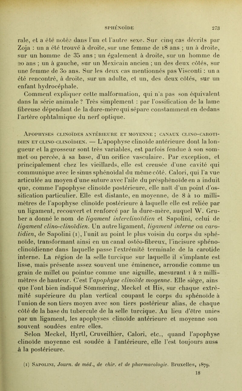 raie, et a été notée dans ruii et l'autre sexe. Sur cinq cas décrits par Zoja : un a été trouvé à droite, sur une femme de i8 ans ; un à droite, sur un homme de 35 ans ; un également à droite, sur un homme de 20 ans ; un à gauche, sur un Mexicain ancien ; un des deux côtés, sur une femme de 3o ans. Sur les deux cas mentionnés pas Visconti : un a été rencontré, à droite, sur un adulte, et un, des deux côtés, sur un enfant hydrocéphale. Comment expliquer cette malformation, qui n’a pas son équivalent dans la série animale ? Très simplement : par l’ossification de la lame fibreuse dépendant de la dure-mère qui sépare constamment en dedans l’artère ophtalmique du nerf optique. Apophyses clinoïdes antérieure et moyenne ; canaux clino-caroti- DiEN ET clino-clinoïdien. — L’apopliyse clinoide antérieure dont la lon- gueur et la grosseur sont très variables, est parfois fendue à son som- met'ou percée, à sa base, d’un orifice vasculaire. Par exception, et principalement chez les vieillards, elle est creusée d’une cavité qui communique avec le sinus sphénoïdal du même côté. Calori, qui l’a vue articulée au moyen d’une suture avec l’aile du présphénoïde en a induit que, comme l’apophyse clinoide postérieure, elle naît d’un point d’os- sification particulier. Elle est distante, en moyenne, de 8 à lo milli- mètres de l’apophyse clinoide postérieure à laquelle elle est reliée par un ligament, recouvert et renforcé par la dure-mère, auquel W. Gru- ber a donné le nom de ligament interclinoïdien et Sapolini, celui de ligament clino-clinoïdien. Un autre ligament, ligament interne ou caro- tidien., de Sapolini (i), l’unit au point le plus voisin du corps du sphé- noïde, transformant ainsi en un canal ostéo-fibreux, fincisure sphéno- clinoidienne dans laquelle passe l’extrémité terminale de la carotide interne. La région de la selle turcique sur laquelle il s’implante est lisse, mais présente assez souvent une éminence, arrondie comme un grain de millet ou pointue comme une aiguille, mesurant i à 2 milli- mètres de hauteur. C’est Vapophgse clinoide moyenne. Elle siège, ains que font bien indiqué Sômmering, Meckel et His, sur chaque extré- mité supérieure du plan vertical coupant le corps du sphénoïde à l’union de son tiers moyen avec son tiers postérieur alias, de chaque côté de la base du tubercule de la selle turcique. Au lieu d’être unies par un ligament, les apophyses clinoïde antérieure et moyenne son souvent soudées entre elles. Selon Meckel, Hyrtl, Cruveilhier, Calori, etc., quand l’apophyse clinoïde moyenne est soudée à l’antérieure, elle l’est toujours auss à la postérieure. (i) Sapolini, Journ. de méd., de chir. et de pharmacologie. Bruxelles, 1879. 18