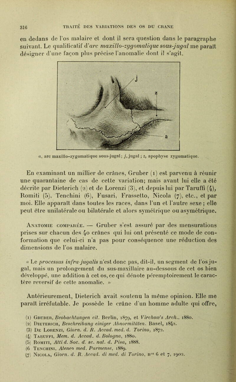 en dedans de l’os malaire et dont il sera question dans le paragraphe suivant. Le qualificatif d’arc maxillo-zygomatique sous-jugal me paraît désigner d’une façon plus précise l’anomalie dont il s’agit. a, arc maxillo-zygomatique sous-jugal; 7, jugal ; z, apophyse zygomatique. En examinant un millier de crânes, Gruber (1) est parvenu à réunir une quarantaine de cas de cette variation; mais avant lui elle a été décrite par Dieterich (2) et de Lorenzi (3), et depuis lui par Taruffi (4)^ Romiti (5), Tenchini (6), Fusari, Frassetto, Nicola (7), etc., et par moi. Elle apparaît dans toutes les races, dans l’un et l’autre sexe ; elle peut être unilatérale ou bilatérale et alors symétrique ou asymétrique. Anatomie comparée. — Gruber s’est assuré par des mensurations prises sur chacun des 4o crânes qui lui ont présenté ce mode de con- formation que celui-ci n’a pas pour conséquence une réduction des dimensions de l’os malaire. « Le processus infra-jiigalis n’est donc pas, dit-il, un segment de l’os ju- gal, mais un prolongement du sus-maxillaire au-dessous de cet os bien développé, une addition à cet os, ce qui dénote péremptoirement le carac- tère reversif de cette anomalie. » Antérieurement, Dieterich avait soutenu la même opinion. Elle me paraît irréfutable. Je possède le crâne d’un homme adulte qui offre, (1) Gruber, Beobachtungen cil. Berlin, 1879, et Virchow’s Arch., 1880. (2) Dieterich, Beschreibung einiger Abnormitàten. Basel, 1842. (3) De Lorenzi, Giorn. d. B. Accad. med. d. Torino, 1872. (4) Taruffi, Mem. d. Accad. d. Bologna, 1880. (5) Bomiti, Atti d. Soc. d. sc. nal. d. Pisa^ 1888. (6 Tenchini, Ateneo med. Parmense, 1889. (7) Nicola, Giorn. d. R. Accad. di med. di Torino, G et 7, 1902.