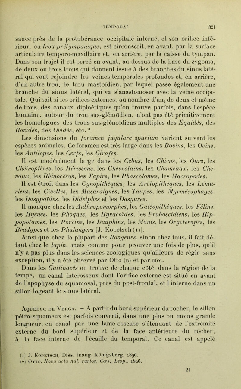 sauce près de la protubérance occipitale interne, et son orifice infé- rieur, ou trou prétympanique, est circonscrit, en avant, par la surface articulaire temporo-maxillaire et, en arrière, par la caisse du tympan. Dans son trajet il est percé en avant, au-dessus de la base du zygoma, de deux ou trois trous qui donnent issue à des branches du sinus laté- ral qui vont rejoindre les veines temporales profondes et, en arrière, d’un autre trou, le trou mastoïdien, par lequel passe également une branche du sinus latéral, qui va s’anastomoser avec la veine occipi- tale. Qui sait si les orifices externes, au nombre d’un, de deux et même de trois, des canaux diploétiques qu’on trouve parfois, dans l’espèce humaine, autour du trou sus-glénoïdien, n’ont pas été primitivement les homologues des trous sus-glénoïdiens multiples des Équidés, des Bovidés, des Ovidés, etc. ? Les dimensions du foramen jugulare spurium varient suivant les espèces animales. Ce foramen est très large dans les Bovins, les Ovins, les Antilopes, les Cerfs, les Girafes. Il est modérément large dans les Cebus, les Chiens, les Ours, les Chéiroptères, les Hérissons, les Chevrotains, les Chameaux, les Che- vaux, les Rhinocéros, les Tapirs, les Phascolomes, les Macropodes. Il est étroit dans les Cynopithèques, les Arctopithèques, les Lému- riens, les Civettes, les Musaraignes, les Taupes, les Myrmécophages, les Dasypoïdes, les Didelphes et les Dasyures. Il manque ç\iqz\qs> Anthropomorphes, les Galéopithèques, les Félins, les Hyènes, les Phoques, les Hyracoïdes, les Proboscidiens, les Hip- popotames, les Porcins, les Dauphins, les Manis, les Oryctéropes, les Bradypes Qi les Phalangers [J. Kopetsch (i)]. Ainsi que chez la plupart des Rongeurs, sinon chez tous, il fait dé- faut chez le lapin, mais comme pour prouver une fois de plus, qu’il n’y a pas plus dans les sciences zoologiques qu’ailleurs de règle sans exception, il y a été observé par Otto (2) et par moi. Dans les Gallinacés on trouve de chaque côté, dans la région de la tempe, un canal interosseux dont forifice externe est situé en avant de l’apophyse du squamosal, près du post-frontal, et l’interne dans un sillon logeant le sinus latéral. Aqueduc de Verga. — A partir du bord supérieur du rocher, le sillon pétro-squameux est parfois converti, dans une plus ou moins grande longueur, en canal par une lame osseuse s’étendant de l’extrémité externe du bord supérieur et de la face antérieure du rocher, à la face interne de l’écaille du temporal. Ce canal est appelé (1) J. Kopetsch, Diss. inaug. Kônigsberg, 1890. (2) Otto, Nova acta nal. curios. Cœs, Leop., 1826. 21