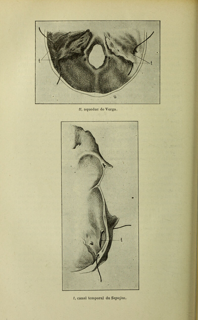 Il, aqueduc de Verga. l, canal temporal du Sapajou.