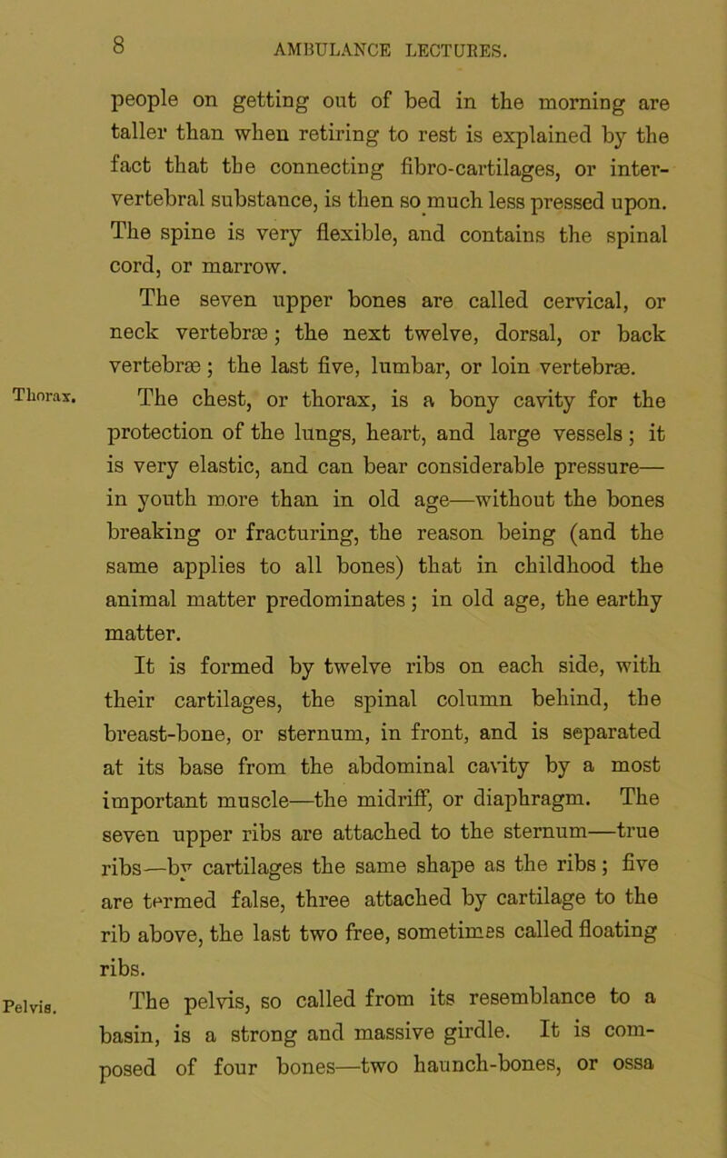 Thorax. Pelvis. people on getting out of bed in the morning are taller than when retiring to rest is explained by the fact that the connecting fibro-cartilages, or inter- vertebral substance, is then so much less pressed upon. The spine is very flexible, and contains the spinal cord, or marrow. The seven upper bones are called cervical, or neck vertebras; the next twelve, dorsal, or back vertebrae; the last five, lumbar, or loin vertebrae. The chest, or thorax, is a bony cavity for the protection of the lungs, heart, and large vessels; it is very elastic, and can bear considerable pressure— in youth more than in old age—without the bones breaking or fracturing, the reason being (and the same applies to all bones) that in childhood the animal matter predominates ; in old age, the earthy matter. It is formed by twelve ribs on each side, with their cartilages, the spinal column behind, the breast-bone, or sternum, in front, and is separated at its base from the abdominal cavity by a most important muscle—the midriff, or diaphragm. The seven upper ribs are attached to the sternum—true ribs—b'^ cartilages the same shape as the ribs; five are termed false, three attached by cartilage to the rib above, the last two free, sometimes called floating ribs. The pelvis, so called from its resemblance to a basin, is a strong and massive girdle. It is com- posed of four bones—two haunch-bones, or ossa