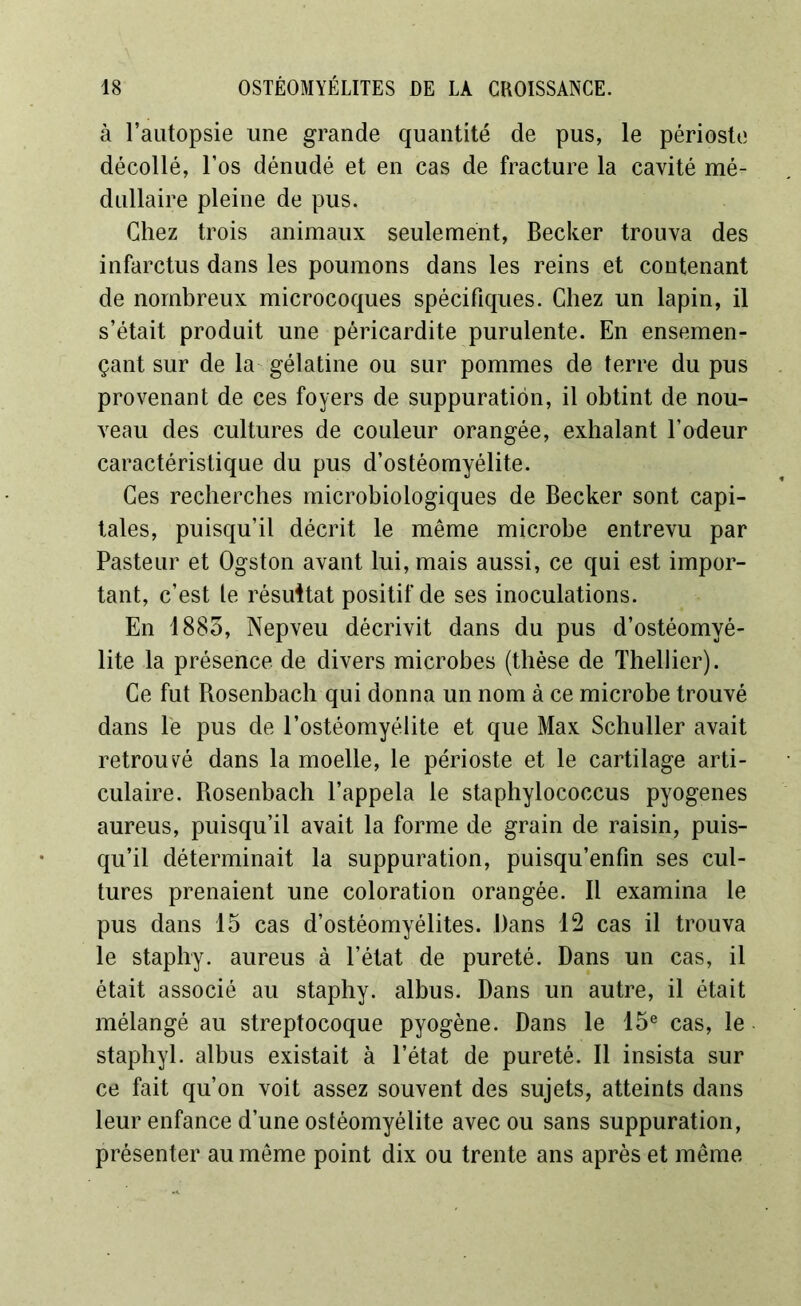 à l’autopsie une grande quantité de pus, le périoste décollé, l’os dénudé et en cas de fracture la cavité mé- dullaire pleine de pus. Chez trois animaux seulement, Becker trouva des infarctus dans les poumons dans les reins et contenant de nombreux microcoques spécifiques. Chez un lapin, il s’était produit une péricardite purulente. En ensemen- çant sur de la gélatine ou sur pommes de terre du pus provenant de ces foyers de suppuration, il obtint de nou- veau des cultures de couleur orangée, exhalant l’odeur caractéristique du pus d’ostéomyélite. Ces recherches microbiologiques de Becker sont capi- tales, puisqu’il décrit le même microbe entrevu par Pasteur et Ogston avant lui, mais aussi, ce qui est impor- tant, c’est le résultat positif de ses inoculations. En 1883, Nepveu décrivit dans du pus d’ostéomvé- lite la présence de divers microbes (thèse de Thellier). Ce fut Rosenbach qui donna un nom à ce microbe trouvé dans le pus de l’ostéomyélite et que Max Schuller avait retrouvé dans la moelle, le périoste et le cartilage arti- culaire. Rosenbach l’appela le staphylococcus pyogenes aureus, puisqu’il avait la forme de grain de raisin, puis- qu’il déterminait la suppuration, puisqu’enfm ses cul- tures prenaient une coloration orangée. Il examina le pus dans 15 cas d’ostéomyélites. Dans 12 cas il trouva le stapliy. aureus à l’état de pureté. Dans un cas, il était associé au staphy. albus. Dans un autre, il était mélangé au streptocoque pyogène. Dans le 15e cas, le staphyl. albus existait à l’état de pureté. Il insista sur ce fait qu’on voit assez souvent des sujets, atteints dans leur enfance d’une ostéomyélite avec ou sans suppuration, présenter au même point dix ou trente ans après et même