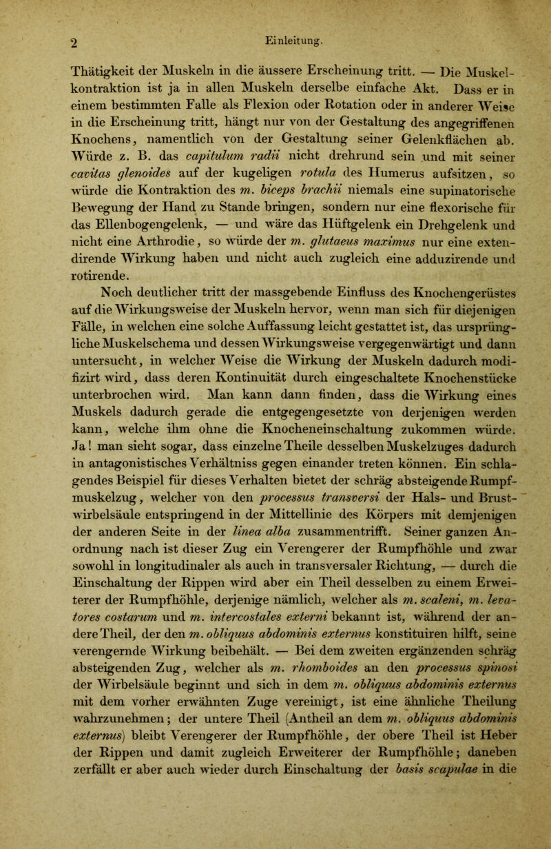 Thätigkeit der Muskeln in die äussere Erscheinung tritt. — Die Muskel- kontraktion ist ja in allen Muskeln derselbe einfache Akt. Dass er in einem bestimmten Falle als Flexion oder Rotation oder in anderer Weise in die Erscheinung tritt, hängt nur von der Gestaltung des angegriffenen Knochens, namentlich von der Gestaltung seiner Gelenkflächen ab. Würde z. B. das capitulum radii nicht drehrund sein und mit seiner cavitas glenoides auf der kugeligen rotula des Humerus aufsitzen, so würde die Kontraktion des m. biceps brachii niemals eine supinatorische Bewegung der Hand zu Stande bringen, sondern nur eine flexorische für das Ellenbogengelenk, — und wäre das Hüftgelenk ein Drehgelenk und nicht eine Arthrodie, so würde der m. glutaeus maximus nur eine exten- dirende Wirkung haben und nicht auch zugleich eine adduzirende und rotirende. Noch deutlicher tritt der massgebende Einfluss des Knochengerüstes auf die Wirkungsweise der Muskeln hervor, wenn man sich für diejenigen Fälle, in welchen eine solche Auffassung leicht gestattet ist, das ursprüng- liche Muskelschema und dessen Wirkungsweise vergegenwärtigt und dann untersucht, in welcher Weise die Wirkung der Muskeln dadurch modi- fizirt wird, dass deren Kontinuität durch eingeschaltete Knochenstücke unterbrochen wird. Man kann dann finden, dass die Wirkung eines Muskels dadurch gerade die entgegengesetzte von derjenigen werden kann, welche ihm ohne die Knocheneinschaltung zukommen würde. Ja! man sieht sogar, dass einzelne Theile desselben Muskelzuges dadurch in antagonistisches Verhältniss gegen einander treten können. Ein schla- gendes Beispiel für dieses Verhalten bietet der schräg absteigende Rumpf- muskelzug , welcher von den processus transversi der Hals- und Brust- wirbelsäule entspringend in der Mittellinie des Körpers mit demjenigen der anderen Seite in der linea alba zusammentrifft. Seiner ganzen An- ordnung nach ist dieser Zug ein Verengerer der Rumpfhöhle und zw^ar sowohl in longitudinaler als auch in transversaler Richtung, — durch die Einschaltung der Rippen wird aber ein Theil desselben zu einem Erwei- terer der Rumpf höhle, derjenige nämlich, welcher als m. scaleni, m. leva- tores costarum und m. intercostales externi bekannt ist, während der an- dere Theil, der den m. obliquus abdominis externus konstituiren hilft, seine verengernde Wirkung beibehält. — Bei dem zweiten ergänzenden schräg absteigenden Zug, welcher als m. rhomboides an den processus spinosi der Wirbelsäule beginnt und sich in dem m. obliquus abdominis externus mit dem vorher erwähnten Zuge vereinigt, ist eine ähnliche Theilung wahrzunehmen; der untere Theil (Antheil an dem m. obliquus abdominis externus) bleibt Verengerer der Rumpfhöhle, der obere Theil ist Heber der Rippen und damit zugleich Erweiterer der Rumpfhöhle; daneben zerfällt er aber auch wüeder durch Einschaltung der basis scapulae in die