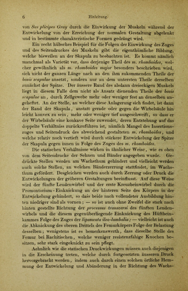 von Sus plicipes Gray durch die Einwirkung der Muskeln während der Entwickelung von der Erreichung der normalen Gestaltung abgelenkt und in bestimmte charakteristische Formen gedrängt wird. Ein recht hübsches Beispiel für die Folgen der Einwirkung des Zuges und des Seitendruckes der Muskeln gibt die eigenthümliche Bildung, welche bisweilen an der Skapula zu beobachten ist. Es kommt nämlich manchmal als Varietät vor, dass derjenige Theil des m. rhomboides, wel- cher gewöhnlich als m. rhomboides major besonders beschrieben wird, sich nicht der ganzen Länge nach an den ihm zukommenden Theile der basis scapulae ansetzt, sondern nur an dem untersten Theile derselben zunächst der Spitze. Der äussere Rand des alsdann dreieckigen Muskels liegt in diesem Falle dem nicht als Ansatz dienenden Theile der basis scapulae an, durch Zellgewebe mehr oder weniger fest an denselben an- geheftet. An der Stelle, an welcher diese Anlagerung sich findet, ist dann der Rand der Skapula, anstatt gerade oder gegen die Wirbelsäule hin leicht konvex zu sein, mehr oder weniger tief ausgeschweift, so dass er der Wirbelsäule eine konkave Seite zuwendet, deren Entstehung auf das doppelte Verhältniss zurückzuführen ist, nämlich Mangel des Insertions- zuges und Seitendruck des abweichend gestalteten m. rhomboides, und welche relativ noch vertieft wird durch stärkere Entwickelung der Spitze der Skapula gegen innen in Folge des Zuges des m. rhomboides. Die statischen Verhältnisse wirken in ähnlicher Weise, wie es oben von dem Seitendrucke der Sehnen und Bänder angegeben wurde. Ge- drückte Stellen werden am Wachsthum gehindert und vielleicht werden auch solche Stellen, an welchen Bänderzerrung stattfindet, im Wachs- thum gefördert. Desgleichen werden auch durch Zerrung oder Druck die Entwickelungen der gröberen Gestaltungen beeinflusst. Auf diese Weise wird der fünfte Lendenwirbel und der erste Kreuzbeinwirbel durch die Promontorium - Einknickung an der hinteren Seite des Körpers in der Entwickelung gehindert, so dass beide nach vollendeter Ausbildung hin- ten niedriger sind als vornen; — so ist auch ohne Zweifel die stark nach hinten gestellte Richtung der processus transversi des fünften Lenden- wirbels und die diesem gegenüberliegende Einknickung des Hüftbein- kammes Folge des Zuges der ligamenta ileo-lumbalia ; — vielleicht ist auch die Abknickung des oberen Drittels des Femurkörpers Folge der Belastung desselben; wenigstens ist es bemerkenswerth, dass dieselbe Stelle des Femur bei Rachitischen, welche weniger resistenzfähige Knochen be- sitzen, sehr stark eingeknickt zu sein pflegt. Aehnlich wie die statischen Druckwirkungen müssen auch diejenigen in die Erscheinung treten, welche durch fortgesetzten äusseren Druck hervorgebracht werden, indem auch durch einen solchen örtliche Hem- mung der Entwickelung und Abänderung in der Richtung des Wachs-