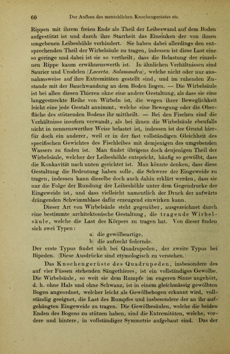 Rippen mit ihrem freien Ende als Theil der Leibeswand auf dem Boden aufgestützt ist und durch ihre Starrheit das Einsinken der von ihnen umgebenen Leibeshöhle verhindert. Sie haben dabei allerdings den ent- sprechenden Theil der Wirbelsäule zu tragen, indessen ist diese Last eine so geringe und dabei ist sie so vertheilt, dass die Belastung der einzel- nen Rippe kaum erwähnenswerth ist. In ähnlichen Verhältnissen sind Saurier und Urodelen (.Lacerta, Salamandra), welche nicht oder nur aus- nahmsweise auf ihre Extremitäten gestellt sind, und im ruhenden Zu- stande mit der Bauchwandung an dem Boden liegen. — Die Wirbelsäule ist bei allen diesen Thieren ohne eine andere Gestaltung, als dass sie eine langgestreckte Reihe von Wirbeln ist, die wegen ihrer Beweglichkeit leicht eine jede Gestalt annimmt, welche eine Bewegung oder die Ober- fläche des stützenden Bodens ihr mittheilt. — Bei den Fischen sind die Verhältnisse insofern verwandt, als bei ihnen die Wirbelsäule ebenfalls nicht in nennenswerther Weise belastet ist, indessen ist der Grund hier- für doch ein anderer, weil er in der fast vollständigen Gleichheit des specifischen Gewichtes des Fischleibes mit demjenigen des umgebenden Wassers zu finden ist. Man findet übrigens doch denjenigen Theil der Wirbelsäule, welcher der Leibeshöhle entspricht, häufig so gewölbt, dass die Konkavität nach unten gerichtet ist. Man könnte denken, dass diese Gestaltung die Bedeutung haben solle, die Schwere der Eingeweide zu tragen, indessen kann dieselbe doch auch dahin erklärt werden, dass sie nur die Folge der Rundung der Leibeshöhle unter dem Gegendrücke der Eingeweide ist, und dass vielleicht namentlich der Druck der aufwärts drängenden Schwimmblase dafür erzeugend ein wirken kann.. Dieser Art von Wirbelsäule steht gegenüber, ausgezeichnet durch eine bestimmte architektonische Gestaltung, die t r a g e n d e Wirbel- säule, welche die Last des Körpers zu tragen hat. Von dieser finden sich zwei Typen: a) die gewölbeartige, b) die aufrecht federnde. Der erste Typus findet sich bei Quadrupeden, der zweite Typus bei Bipeden. (Diese Ausdrücke sind etymologisch zu verstehen.) * Das Knochengerüste des Quadrupeden, insbesondere des auf vier Füssen stehenden Säugethieres, ist ein vollständiges Gewölbe. Die Wirbelsäule, so weit sie dem Rumpfe im engeren Sinne angehört, d. h. ohne Hals und ohne Schwanz, ist in einem gleichmässig gewölbten Bogen angeordnet, welcher leicht als Gewölbebogen erkannt wird, voll- ständig geeignet, die Last des Rumpfes und insbesondere der an ihr auf- gehängten Eingeweide zu tragen. Die Gewölbesäulen, welche die beiden Enden des Bogens zu stützen haben, sind die Extremitäten, welche, vor- dere und hintere, in vollständiger Symmetrie aufgebaut sind. Das der