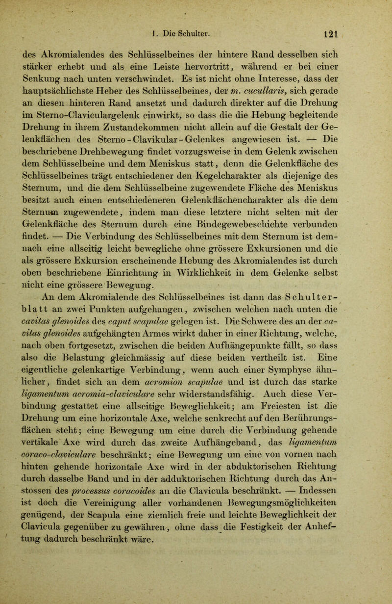 des Akromialendes des Schlüsselbeines der hintere Rand desselben sich stärker erhebt und als eine Leiste hervortritt, während er bei einer Senkung nach unten verschwindet. Es ist nicht ohne Interesse, dass der hauptsächlichste Heber des Schlüsselbeines, der m. cucullaris, sich gerade an diesen hinteren Rand ansetzt und dadurch direkter auf die Drehung im Sterno-Claviculargelenk einwirkt, so dass die die Hebung begleitende Drehung in ihrem Zustandekommen nicht allein auf die Gestalt der Ge- lenkflächen des Sterno - Clavikular - Gelenkes angewiesen ist. — Die beschriebene Drehbewegung findet vorzugsweise in dem Gelenk zwischen dem Schlüsselbeine und dem Meniskus statt, denn die Gelenkfläche des Schlüsselbeines trägt entschiedener den Kegelcharakter als diejenige des Sternum, und die dem Schlüsselbeine zugewendete Fläche des Meniskus besitzt auch einen entschiedeneren Gelenkflächencharakter als die dem Sternum zugewendete, indem man diese letztere nicht selten mit der Gelenkfläche des Sternum durch eine Bindegewebeschichte verbunden findet. — Die Verbindung des Schlüsselbeines mit dem Sternum ist dem- nach eine allseitig leicht bewegliche ohne grössere Exkursionen und die als grössere Exkursion erscheinende Hebung des Akromialendes ist durch oben beschriebene Einrichtung in Wirklichkeit in dem Gelenke selbst nicht eine grössere Bewegung. An dem Akromialende des Schlüsselbeines ist dann das Schulter- bla 11 an zwei Punkten aufgehangen, zwischen welchen nach unten die cavitas glenoides des caput scapulae gelegen ist. Die Schwere des an der ca- oitas glenoides aufgehängten Armes wirkt daher in einer Richtung, welche, nach oben fortgesetzt, zwischen die beiden Aufhängepunkte fällt, so dass also die Belastung gleichmässig auf diese beiden vertheilt ist. Eine eigentliche gelenkartige Verbindung, wenn auch einer Symphyse ähn- licher, findet sich an dem acromion scapulae und ist durch das starke ligamentum acromia-claviculare sehr widerstandsfähig. Auch diese Ver- bindung gestattet eine allseitige Beweglichkeit; am Freiesten ist die Drehung um eine horizontale Axe, welche senkrecht auf den Berührungs- flächen steht; eine Bewegung um eine durch die Verbindung gehende vertikale Axe wird durch das zweite Aufhängeband, das ligamentum coraco-clamculare beschränkt; eine Bewegung um eine von vornen nach hinten gehende horizontale Axe wird in der abduktorischen Richtung durch dasselbe Band und in der adduktorischen Richtung durch das An- stossen des processus coracoides an die Clavicula beschränkt. — Indessen ist doch die Vereinigung aller vorhandenen Bewegungsmöglichkeiten genügend, der Scapula eine ziemlich freie und leichte Beweglichkeit der Clavicula gegenüber zu gewähren , ohne dass die Festigkeit der Anhef- tung dadurch beschränkt wäre.